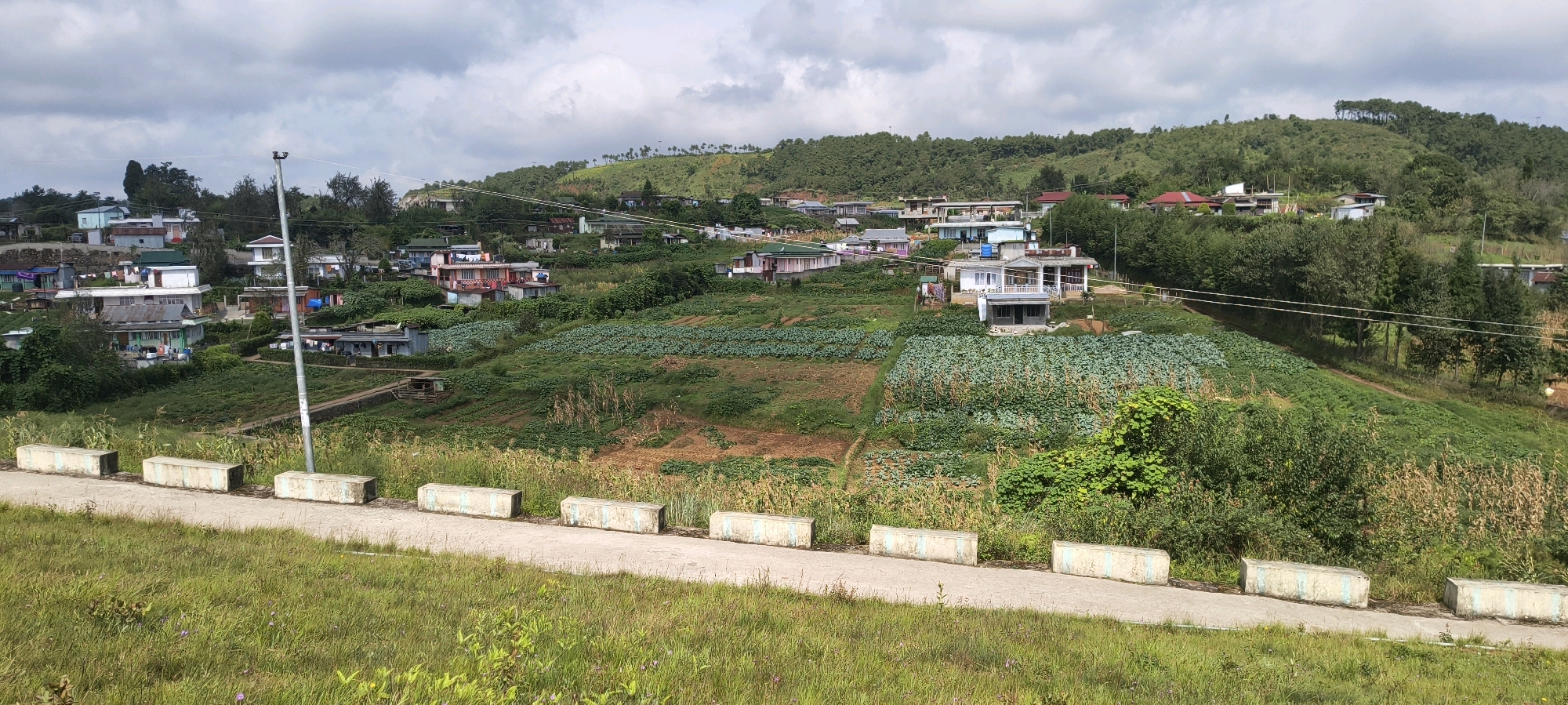 This is a panoramic, eye-level, outdoor, daytime, medium shot of a rural village in Sohiong, India. The scene depicts a hillside dotted with various houses and agricultural fields. The houses, constructed with a mix of concrete, corrugated metal, and wood, are painted in diverse colors and styles, some with red or green tiled roofs. They are spread across the hilly terrain, some clustered together and others more isolated.
In the foreground, a paved road with concrete barriers runs horizontally across the frame. To the left of the road, a grassy slope with scattered wildflowers is visible. The road itself appears to be a pathway for vehicles and pedestrians.
The midground is dominated by terraced agricultural fields, primarily featuring crops of cabbages or similar leafy green vegetables, arranged in neat rows. Some sections of the field show tilled earth or dry corn stalks. A few small wooden structures, possibly storage sheds or shelters, are present within the fields. A prominent metal utility pole with overhead wires stands near the road.
The background is a densely forested hillside, with trees covering the slopes. The sky is overcast with scattered clouds. The overall impression is one of a working agricultural community nestled within a natural, hilly landscape. There are no people or animals visible in the image.