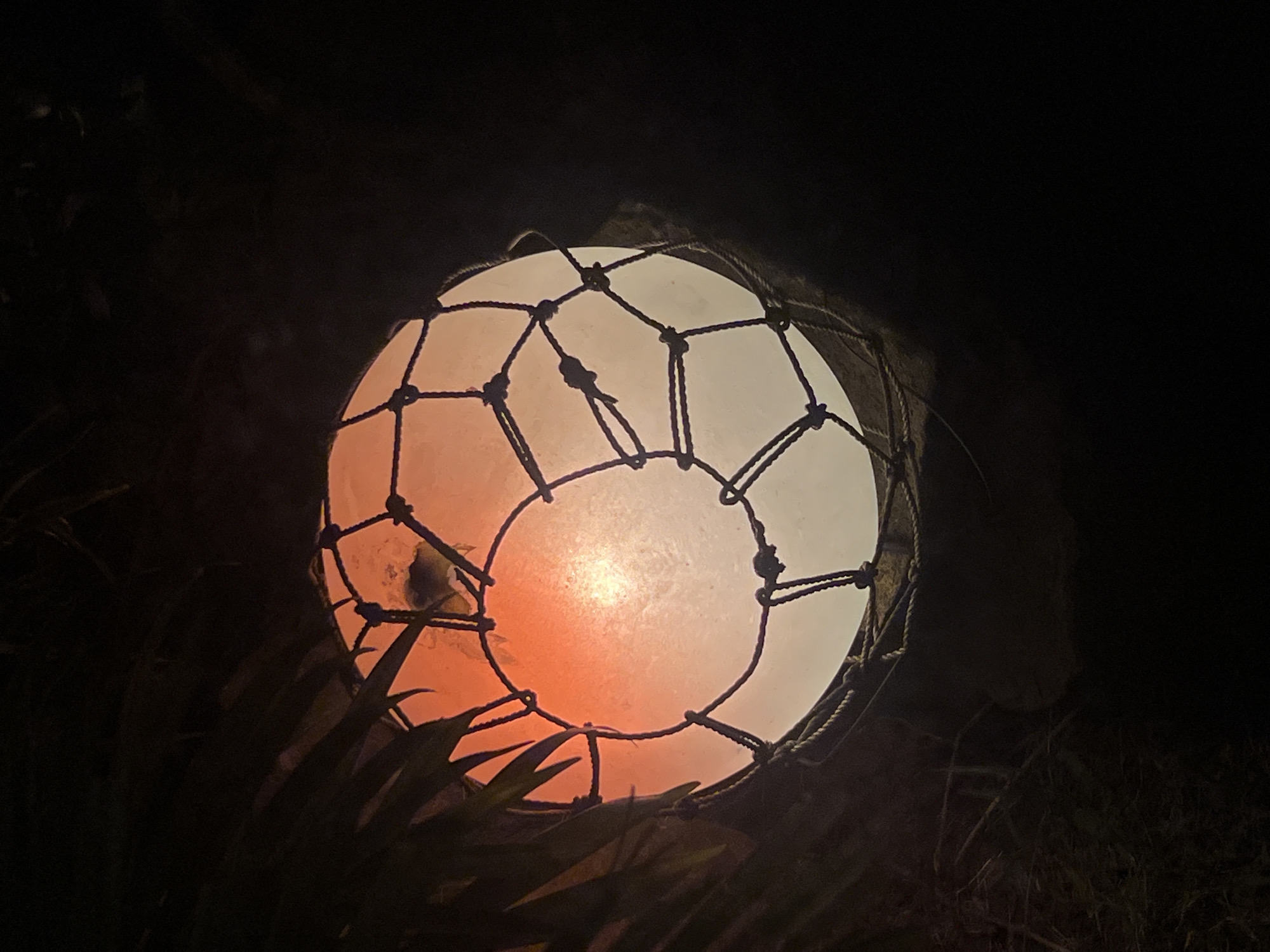 A glowing, spherical object, possibly a lantern or buoy, is illuminated from within, casting a warm orange light that transitions to a pale white towards the top. The sphere is encased in a rough, knotted netting made of thick, dark rope. The netting creates a grid-like pattern over the surface of the sphere. In the foreground, dark, silhouetted foliage, possibly palm fronds or similar tropical plants, partially obscures the lower part of the object. The background is dark and indistinct, suggesting a nighttime setting. The overall mood is somewhat mysterious and atmospheric due to the low light conditions and the glowing orb. The context of "Abang, Indonesia" might suggest a coastal or tropical environment where such an object could be found.