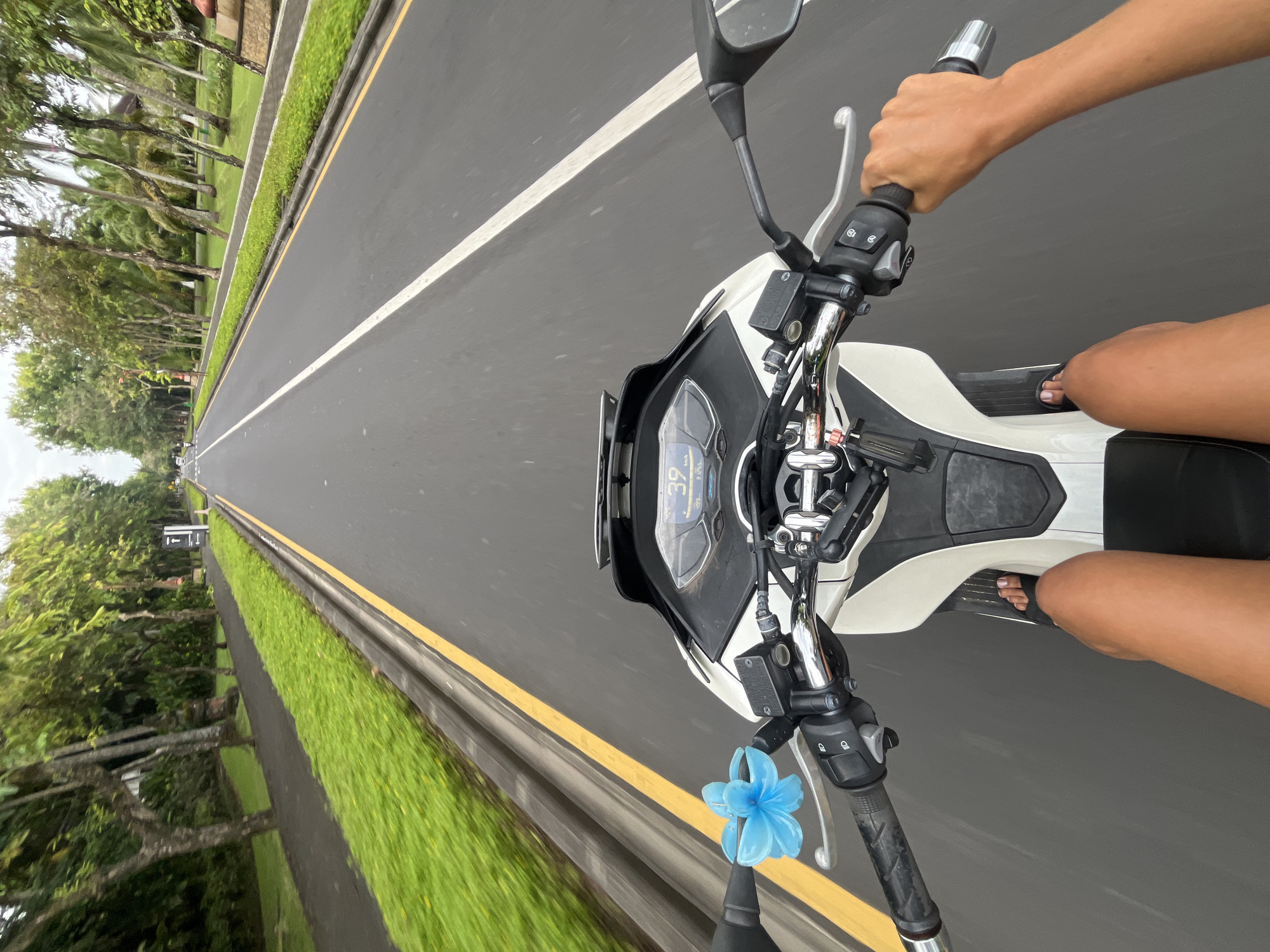 This first-person perspective image captures a person riding a white scooter or motorcycle on a paved road. The road stretches into the distance, with a solid white line marking the center and double yellow lines delineating the edge of the road and a grassy median or shoulder.
The rider's right hand is visible, gripping the handlebar, with fingers positioned over the brake lever. Their tanned legs are visible, one knee bent, and a foot wearing a black sandal rests on the scooter's footrest. The instrument panel of the scooter is partially visible, displaying "39 km/h" in a digital readout, indicating the speed of travel. A blue, translucent flower charm hangs from the handlebars on the left side.
To the left of the road, a lush green landscape unfolds, featuring well-maintained grassy areas and numerous trees, including tall palm trees and other dense foliage, suggesting a tropical environment. The perspective implies movement, as the road lines and surrounding scenery appear to recede. The lighting appears soft and even, suggesting an overcast day. The scene is consistent with a casual ride through a scenic area in Kuta Selatan, Indonesia.