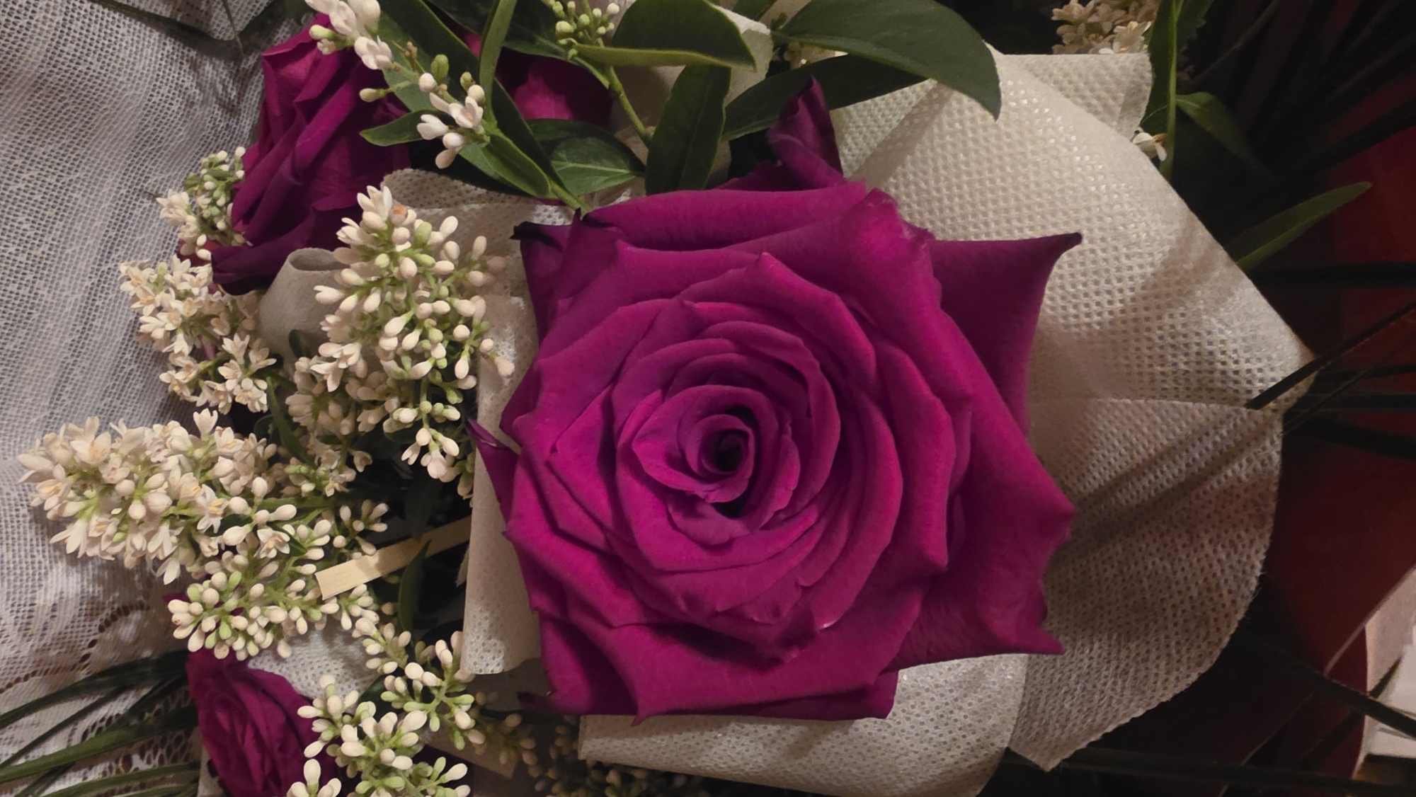 A vibrant close-up photograph captures a meticulously arranged flower bouquet, presented from a slightly elevated perspective. The central and most prominent feature is a large, deep fuchsia or magenta rose, its petals unfurling in a classic, intricate spiral. Surrounding the striking rose are clusters of delicate white, small-budded flowers, resembling gypsophila or a similar filler, adding softness and contrast. Lush green leaves peek from behind the main floral elements, providing a natural backdrop.
The bouquet is artfully wrapped in a combination of materials. A light-colored, possibly off-white or cream, textured fabric with a distinct woven or mesh pattern cradles the flowers, visible especially around the edges and beneath the rose. There also appears to be a sheer, perhaps lacy or netted, white fabric offering an additional layer of decorative wrapping. The overall lighting suggests an indoor setting, possibly under artificial light, as the background is dark and indistinct, focusing attention solely on the illuminated bouquet. No people or activities are visible, and there is no discernible text. The image evokes a sense of beauty, elegance, and possibly a special occasion, set in the context of Redina, Bulgaria.