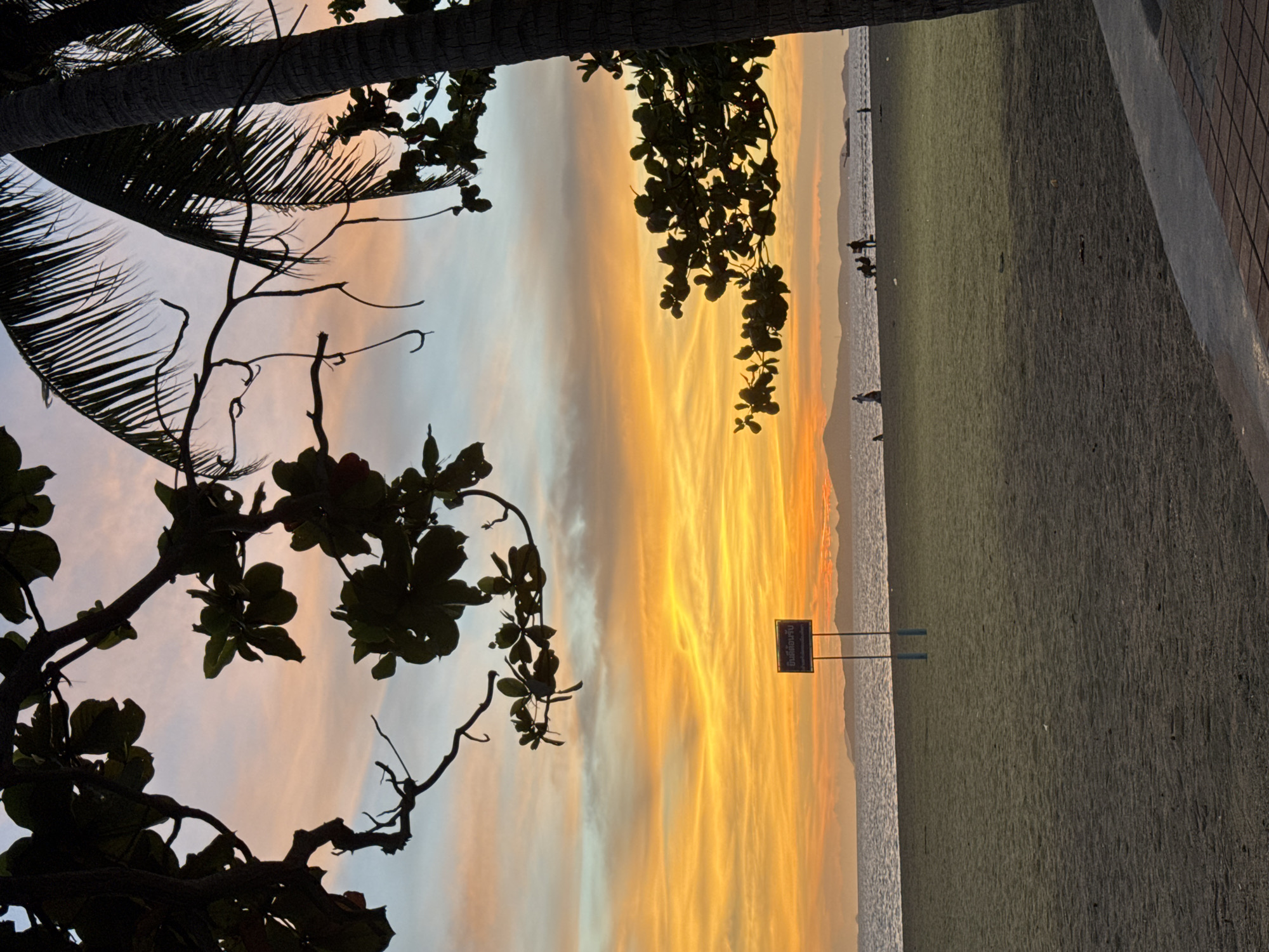 The image, taken in Pattaya City, Thailand, captures a scenic view of a sunset sky over a beach. The sun is casting a vibrant orange and yellow glow across the sky, creating a stunning backdrop. In the foreground, there are silhouetted tree branches and leaves, with a coconut tree at the top left. There are people in the distance along the shore. The beach extends to the right side of the frame, meeting a walkway or paved area. There is a sign on the beach.