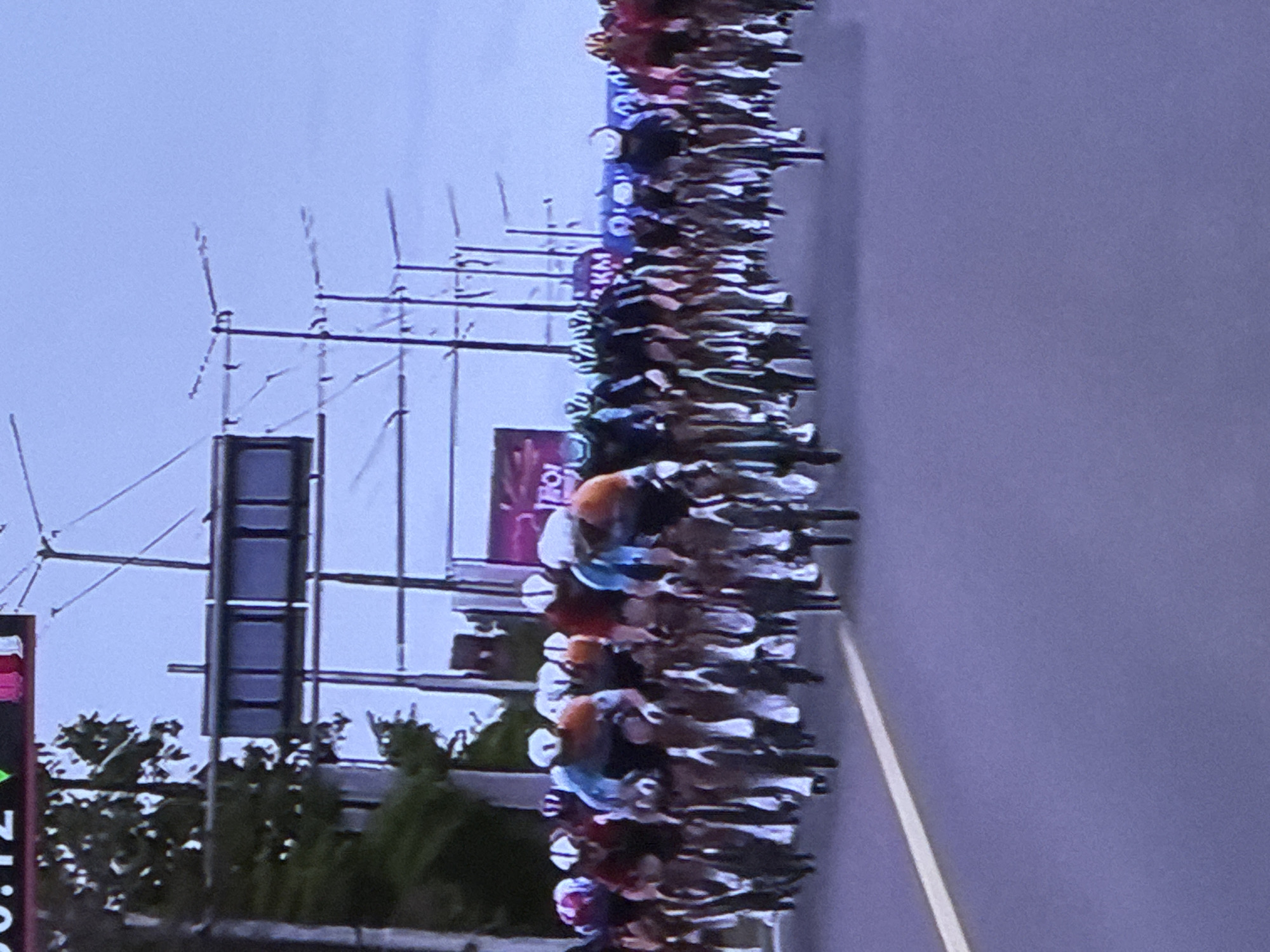 A large group of cyclists are competing in a race, moving along a city street with a solid white lane marker. Various signs and structures are visible along the course, including a sign with "KM" and one with "IROL." The setting is urban, with trees and infrastructure like overhead wires and a multi-paneled structure. The location is likely Sofia, Bulgaria, given the presence of Bulgarian-based brands.