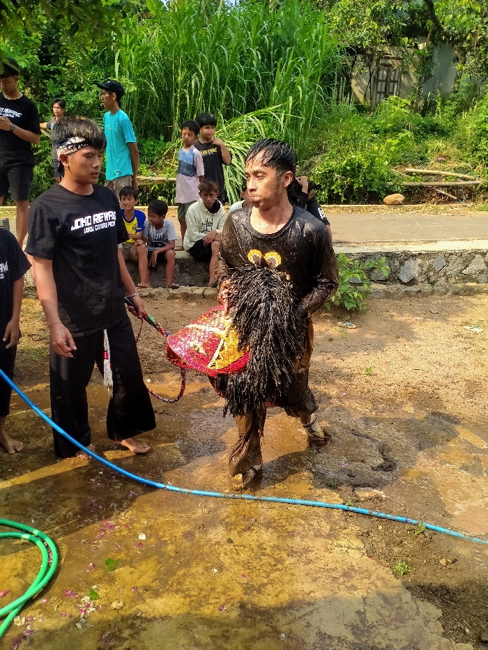 In Gebyog, Indonesia, a daytime outdoor scene captures cultural activity. The foreground consists of wet, muddy, yellowish-brown ground with scattered dark specks and residual water. A coiled green garden hose lies on the far left, and a blue hose extends horizontally across the lower frame.
In the midground, two adult males are prominent. The male on the left, facing right, wears a black short-sleeved t-shirt with "JOKO REWANG LOKAL CULTURE MEN" (or similar) in white text, black wide-legged pants, and a black-and-white patterned bandana. He is barefoot, holding a decorative whip-like object with a red handle and white tassel. The male on the right, heavily soiled with mud and wet, wears a dark long-sleeved shirt with a yellow graphic on the chest and dark muddy pants, also barefoot. His hair is wet. He is actively carrying a traditional flat Kuda Lumping (Jaranan) horse puppet, adorned in red, gold, and black, featuring a long black mane, all appearing wet and muddy. He walks towards the right, looking upwards and to the left with a neutral expression.
In the background, a group of approximately eight male spectators, including young men and boys, observe the scene. They are standing or sitting on a low concrete retaining wall or ledge. Beyond this wall, a dirt road is visible, flanked by dense green foliage, tall grasses, and trees. A distant, partially obscured structure is visible amidst the greenery in the far background. The scene is brightly lit by natural sunlight, casting shadows on the ground.