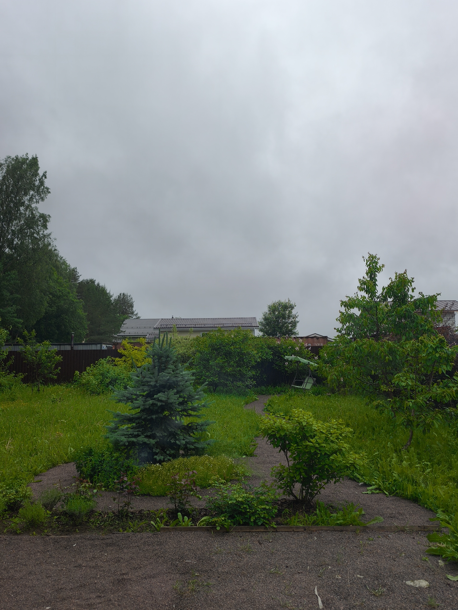 The image depicts a cloudy day in a suburban backyard in Steklyannyi, Russia. The yard is overgrown with lush green grass and various bushes and trees. A pathway made of gravel winds through the yard, leading past a small blue spruce tree and a larger green shrub. In the background, a dark brown wooden fence separates the yard from a neighbor's property. Beyond the fence, two houses with dark gray roofs are visible, surrounded by trees and foliage. A green swing set with a white seat is positioned on the right side of the yard, partially obscured by a large tree with green leaves. The sky is overcast and gray, indicating a possibly cool or damp day. There are no people visible in the image.