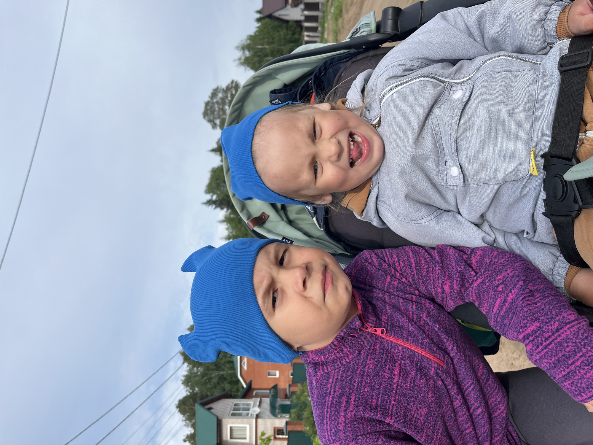 Two young children wearing blue knit hats are seated in a stroller. The child in the foreground wears a purple and pink patterned fleece jacket and has a furrowed brow. The child behind them wears a grey jacket and is smiling broadly, revealing their teeth. The stroller appears to be parked on a grassy area. In the background, there are houses with green roofs, indicative of residential architecture, with trees interspersed between them. Overhead utility lines can be seen against a cloudy sky. The location is identified as Chaikovsky, Russia.