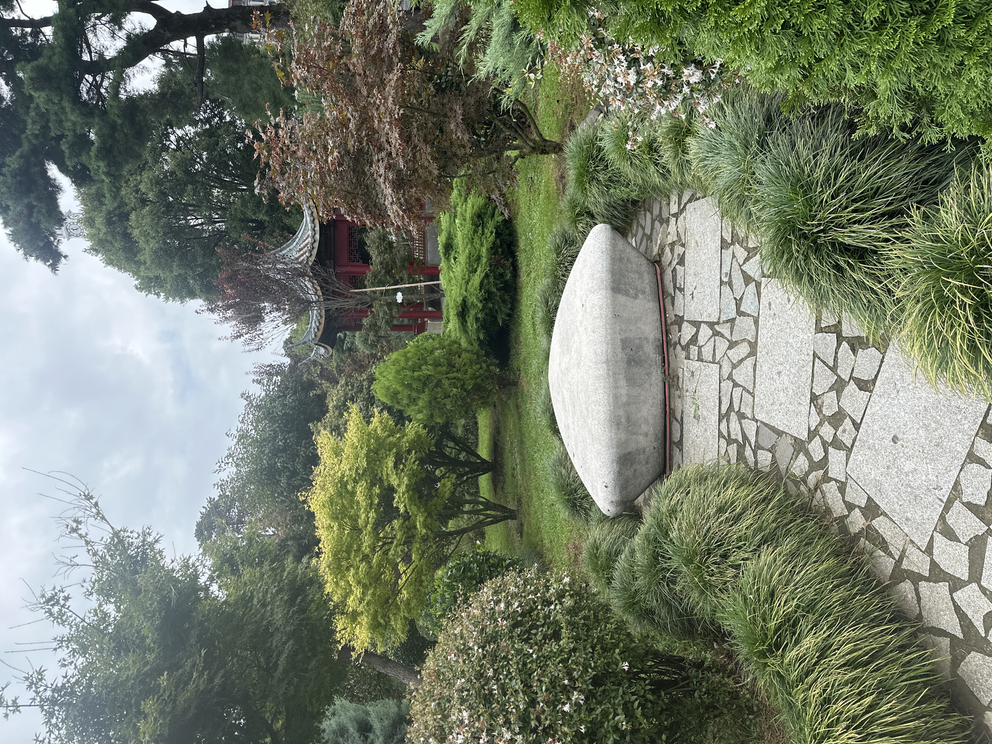 This is a photograph of a tranquil garden, likely located in Batumi, Georgia. The scene is dominated by lush greenery, with a variety of trees and shrubs creating a naturalistic setting. In the foreground, a pathway of irregular stone pavers leads towards a large, smooth, light-gray rock, positioned as a focal point. The rock has a rounded, somewhat flattened shape. Surrounding the path and the rock are dense clumps of ornamental grass with slender, arching blades, interspersed with evergreen bushes.
Further back, the garden opens up to reveal more mature trees, including a bright, chartreuse-leaved tree that adds a vibrant pop of color. Behind these, a traditional Asian-style pavilion with a curved, tiled roof and red supporting columns is partially visible, hinting at the garden's design influences. The sky above is overcast, suggesting a cloudy day. The overall impression is one of peacefulness and meticulous landscaping, characteristic of a botanical garden or a well-maintained private garden. There are no people visible in the image.