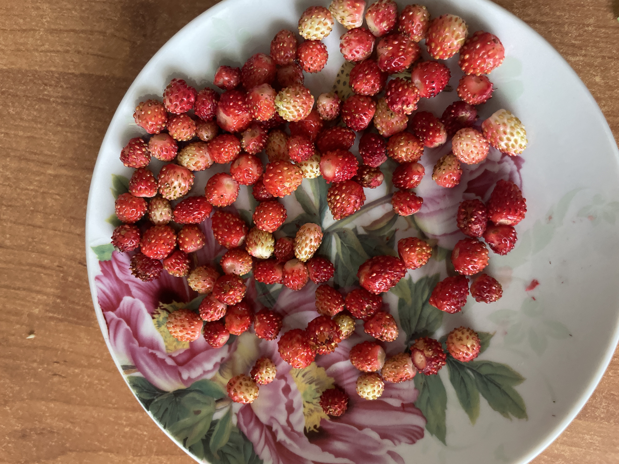 A small plate of wild strawberries is pictured on a wooden table. The plate has a floral design with pink and green flowers. The strawberries are red and white, with some showing visible seeds. They are piled loosely on the plate, with a few scattered around the edge. The lighting is natural, suggesting an outdoor setting or a well-lit room. The overall impression is one of abundance and freshness, likely a home-prepared dish or a natural harvest.