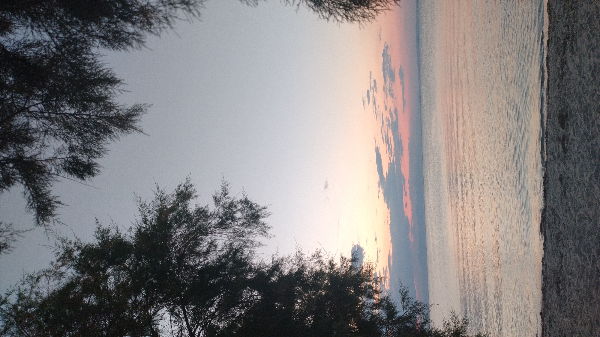 A vertical, medium-shot photograph captures a serene sunset over the Aegean Sea, viewed from the beach in Neoi Epivates, Greece. The foreground features a sandy beach with textured sand, partially covered by shadows from unseen objects. The middle ground is dominated by the calm, reflective surface of the sea, its water exhibiting soft ripples and subtle color variations, transitioning from sandy beige near the shore to a muted pink and lavender hue further out. The horizon line is faint, suggesting distance, and is marked by a pale, distant landmass. The sky above transitions from a soft pink and orange glow near the horizon, indicating the setting sun, to a pale blue and gray towards the top of the frame. Silhouetted against the sky and framing the top portion of the image are the dark, feathery branches of evergreen trees, their foliage dense and casting shadows. The scene is tranquil and devoid of any human presence.