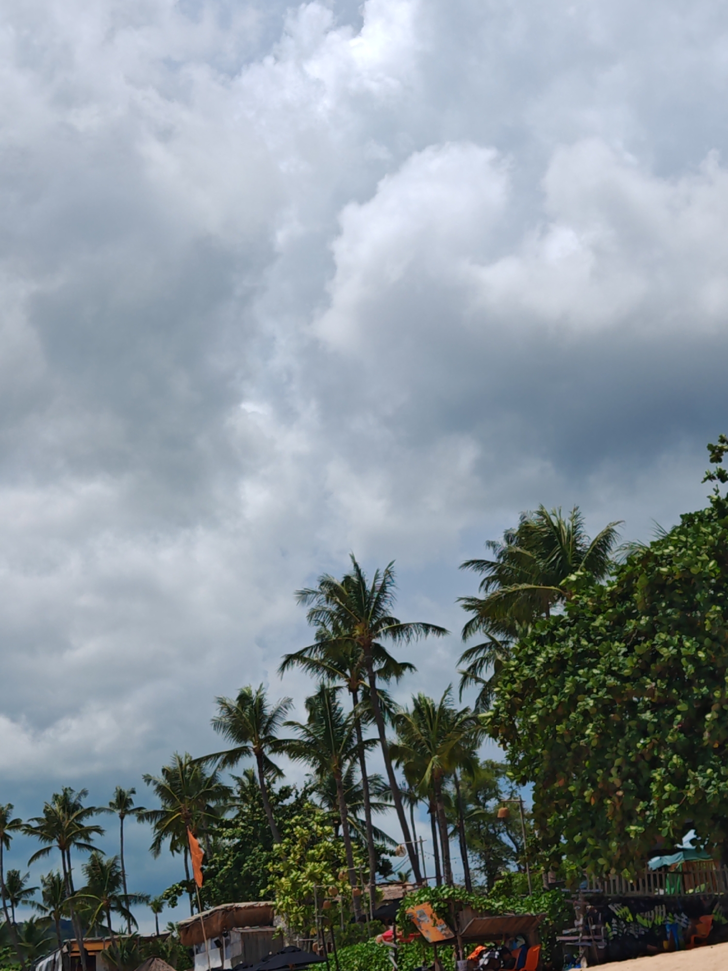 The image shows a coastal scene in Baan Bo Phut, Thailand, under a cloudy sky. In the foreground, there are several palm trees of varying heights, some with fronds partially obscuring the view of structures beneath. Some of these structures appear to be huts or small buildings, with thatched roofs visible. An orange flag is planted in front of one of the structures. To the right of the image, a dense tree with vibrant green foliage dominates the scene, partially obscuring a wooden fence and some colorful graffiti. In the far distance, the sky is filled with dramatic grey and white clouds. The overall impression is of a tropical beach environment on an overcast day.
