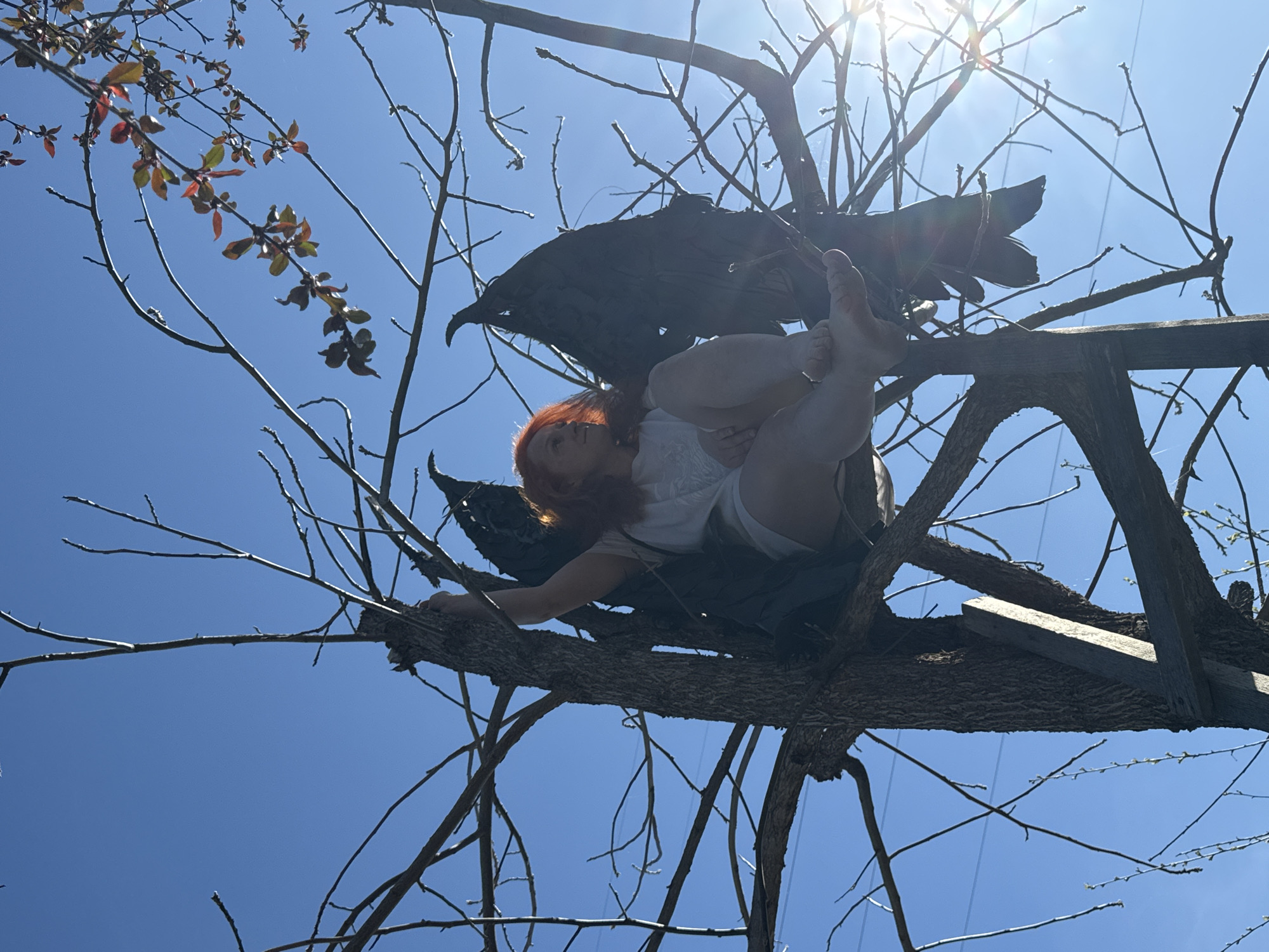 A low-angle shot depicts a person with reddish hair and what appears to be dark-colored wings, perched in a tree against a bright blue sky with the sun visible at the top. The person wears a light-colored shirt and shorts. The tree's branches are bare except for some small leaves on the left side of the frame. A wooden structure is partially visible within the tree's branches. No specific details confirm the location.