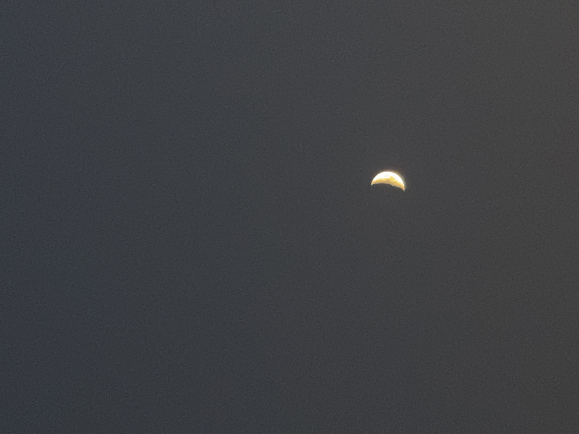 A crescent moon is visible in the dark sky. The sky is a deep gray, with some texture visible due to noise in the image. The moon is a bright yellow crescent shape. The image is taken from a low angle, looking upwards towards the sky. There is no indication of the city of Bishkek, Kyrgyzstan within the image.