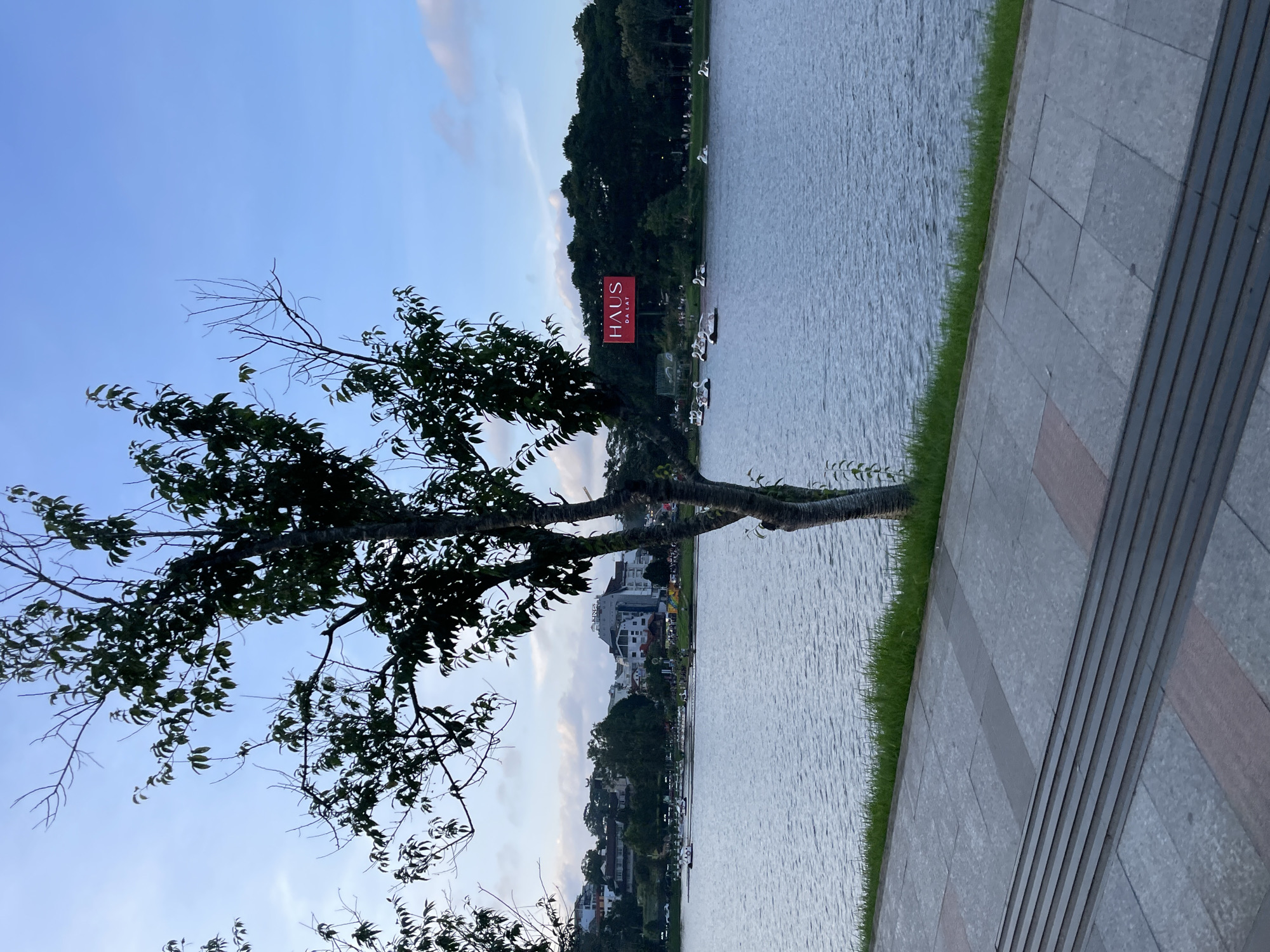 This full-shot image captures a serene view of Xuan Huong Lake in Da Lat, Vietnam, during what appears to be the late afternoon or early evening.
In the immediate foreground, a paved walkway, composed of grey and reddish-grey rectangular tiles, extends across the lower portion of the frame. Towards the left, a series of five dark grey, horizontal strips are embedded into the paving, likely serving as tactile ground surface indicators or steps. A narrow strip of vibrant green grass borders the walkway, separating it from the lake. A slender tree trunk with rough bark, featuring sparse green foliage, rises vertically from the grass strip on the right side of the foreground, extending upwards and obscuring parts of the sky and the lake's far bank.
The midground is dominated by the calm, rippled surface of Xuan Huong Lake, reflecting the light from the sky. Numerous white swan-shaped pedal boats are scattered across the lake. On the left side of the lake, several boats are clustered near the shore, some appearing to be occupied by individuals. Towards the right, more swan boats are dispersed, with a few containing visible occupants.
The background presents the cityscape and natural landscape surrounding the lake. On the far left bank, an array of buildings, varying in size and architectural style, are nestled on a distant hill. One prominent building on the left features the word "KINGS" visible on its facade. The central-right background showcases a dense line of lush green trees. Above these trees, a large, rectangular red billboard prominently displays the white text "HAUS" in a large font, with "DA LAT" in smaller text beneath it. Further to the right, beyond the billboard, more buildings and trees are visible, extending into the distance.
The sky above is a clear, light blue with faint wisps of white clouds, indicative of the twilight hour. The overall scene suggests a popular recreational area, with people enjoying the lake's amenities amidst a blend of urban and natural environments.