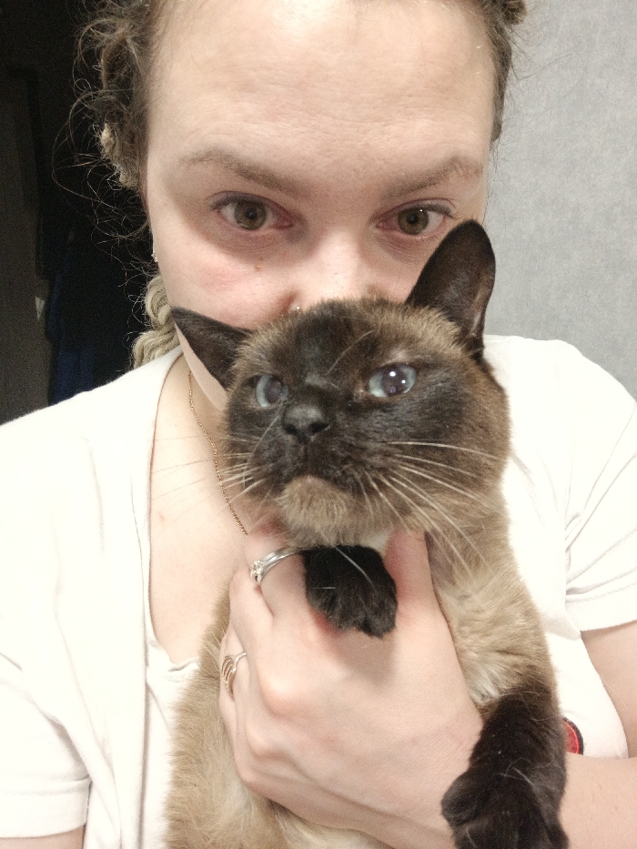 An adult female is depicted in a close-up, indoor portrait, holding a cat. The specific city of Марковский, Russia is not discernible from the visual evidence. The female, with light skin and light, braided hair, has brown eyes that exhibit reddening. She wears a small piercing in her right nostril, a thin gold-colored necklace, a silver-colored ring with a clear stone on her left ring finger, and a gold-colored multi-band ring on her left middle finger. Her attire includes a light-colored, short-sleeved top. Her face is partially visible above the cat, with her eyes and forehead prominent. She holds a Siamese-type cat with distinct dark brown points on its face, ears, and paws, contrasted with a lighter tan body. The cat has blue eyes and white whiskers, and is oriented to look slightly upwards and towards the viewer's right. The background on the right is a plain, light gray wall, while the left background is dark and indistinct, consistent with an interior setting.