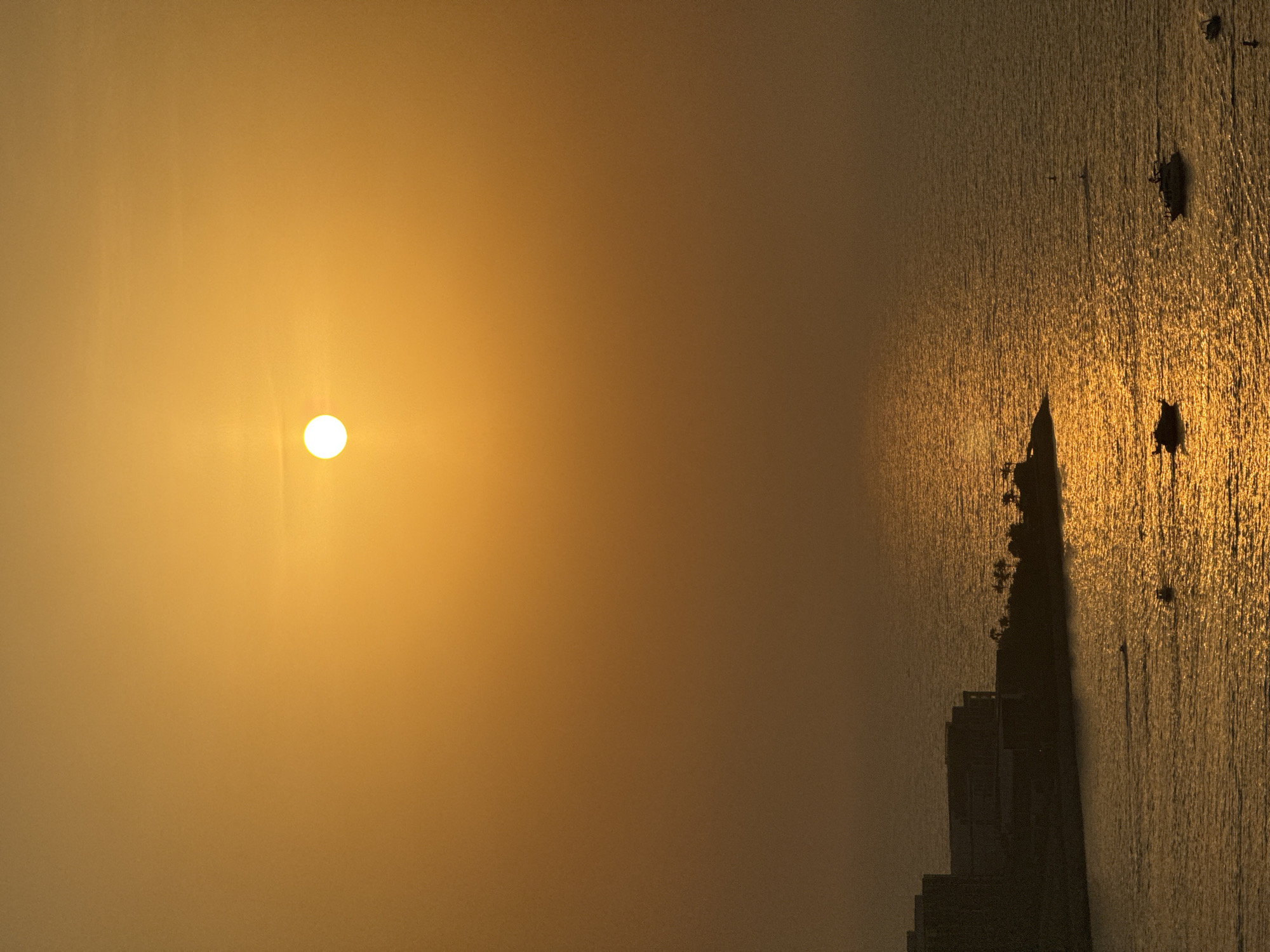 The image depicts a sunset over the waters of Dubai, United Arab Emirates. The sun, a bright, luminous orb, is positioned in the upper center of the frame, casting a warm, golden glow across the sky and the sea. The sky is a gradient of orange and yellow, with a slight haze obscuring the distant horizon.
In the lower left portion of the image, a silhouette of buildings and a palm-lined shoreline is visible. These structures appear to be part of a coastal development, possibly a hotel or residential complex. The water is a deep, reflective surface, shimmering with the sunlight. Several boats, including what appears to be a jet ski and a larger motor yacht, are scattered across the water, leaving faint wakes. The overall scene conveys a sense of tranquility and the vibrant, warm atmosphere characteristic of Dubai's coastal areas during sunset.