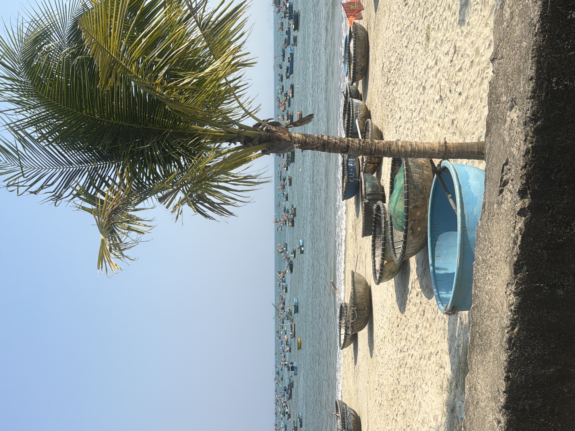 The image depicts a beach scene in Đà Nẵng, Vietnam. The foreground features a row of coracles (traditional Vietnamese fishing boats) resting on the sand. A palm tree leans toward the left side of the image, its fronds partially obscuring the clear blue sky. In the background, the ocean is visible, populated with numerous small fishing boats. The beach is sandy, and a concrete barrier is partially visible on the right edge of the frame.