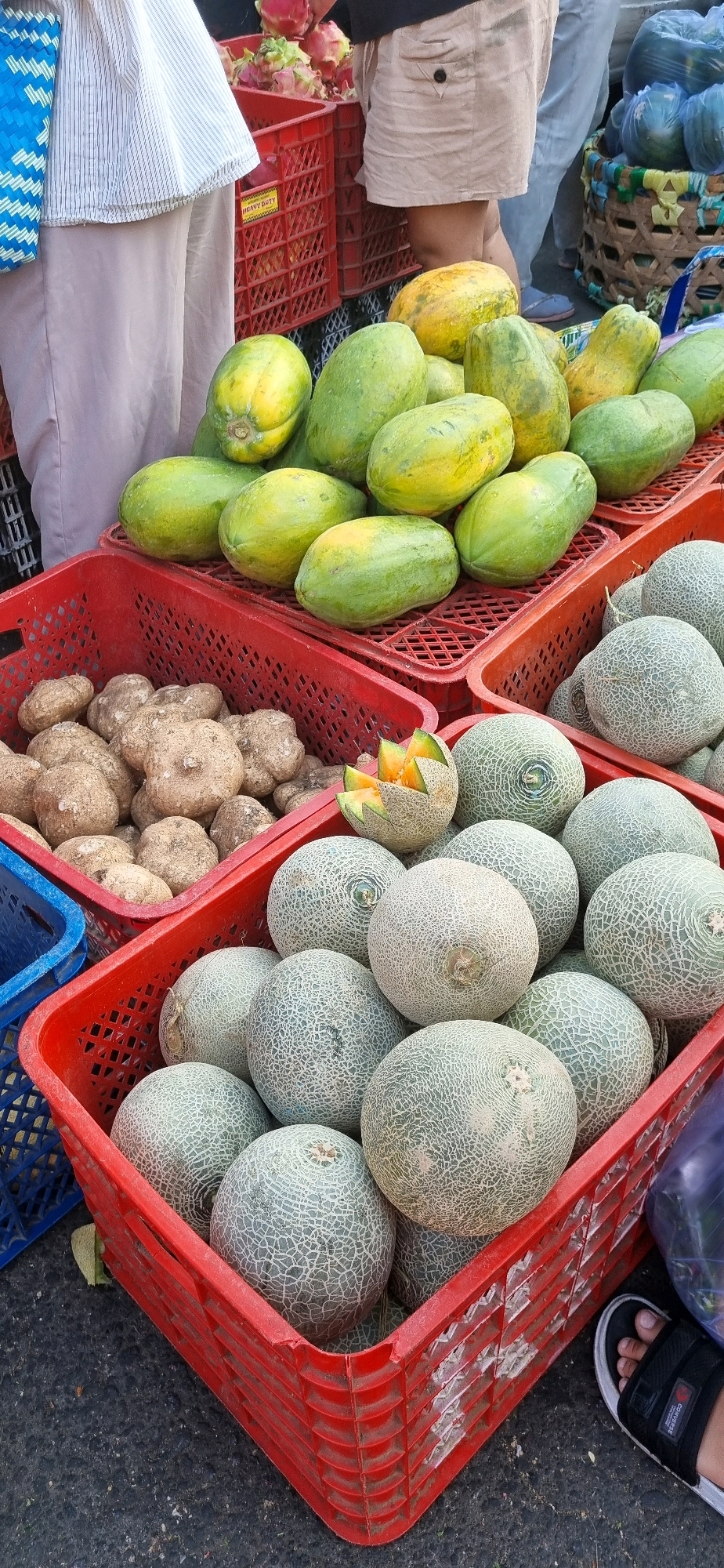 At a street market in Denpasar, Indonesia, a variety of fruits are displayed for sale in red plastic crates. In the foreground, a large red crate is filled with numerous cantaloupes, their netted skins a pale green. Another red crate behind it holds more cantaloupes and a single cantaloupe that has been cut open, revealing its orange flesh. To the left, a red crate is filled with round, brown root vegetables, possibly yams or jicama. Behind these crates, papayas in various stages of ripeness, ranging from green to yellow, are piled high in another red crate. In the background, a person wearing a white and blue striped shirt and a light brown skirt stands near a red crate containing dragon fruit. Another person, wearing blue jeans, stands partially visible behind them. The market appears to be outdoors, with the ground beneath the crates being asphalt.