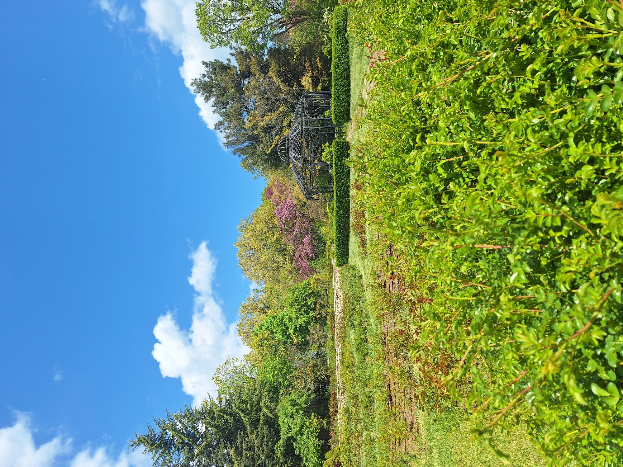 The image depicts a park scene, likely taken in a garden or public park in Varna, Bulgaria. The sky is blue with scattered white clouds. In the mid-ground, a wrought-iron gazebo is visible, surrounded by various trees and shrubs with spring foliage including pink blossomed trees and various shades of green. The foreground features a manicured hedge. There are no people visible in the image.