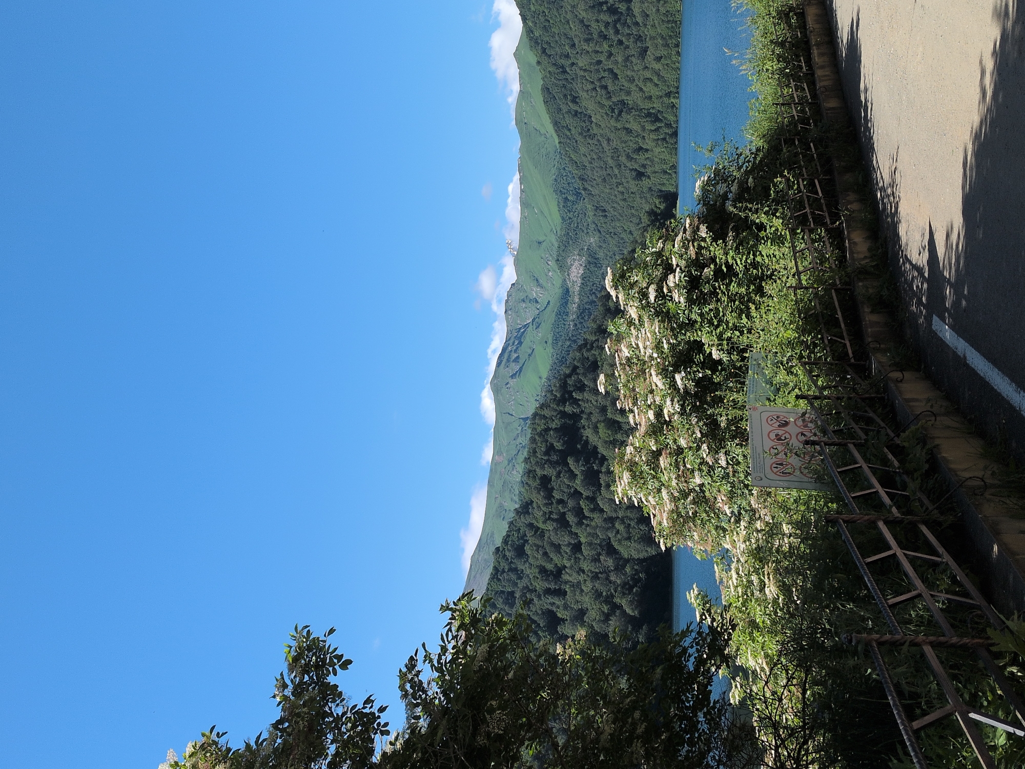 The image depicts a serene natural landscape with a clear blue sky overhead. In the foreground, a paved road runs diagonally from the bottom right corner towards the center, with faint white markings. A weathered metal fence runs along the edge of the road, separating it from lush green vegetation and a large bush with white flowers. Beyond the vegetation, a tranquil blue lake stretches across the middle ground. The background is dominated by a range of verdant, tree-covered mountains, with some lighter green slopes and patches of white clouds near the peaks. The overall impression is one of a peaceful natural setting, likely a scenic viewpoint or park area. The location is specified as Toğanalı, Azerbaijan.