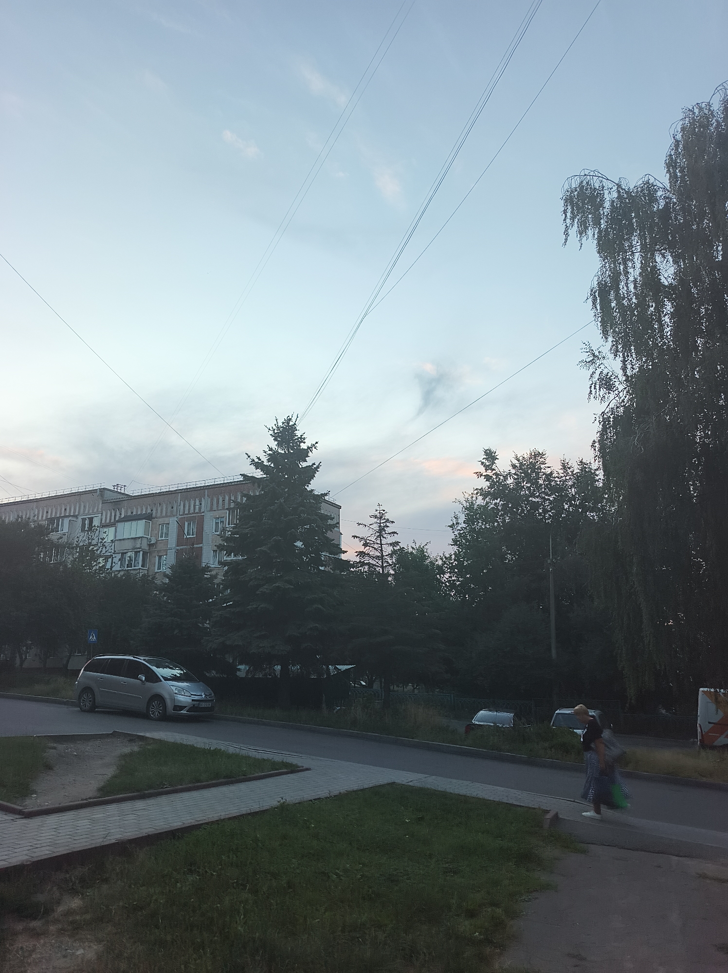 A low-angle, wide shot captures an outdoor scene at dusk in Ternopil, Ukraine. Dominating the frame are multiple parallel wires stretching across the pale, overcast sky, some intersecting. On the left, a multi-story apartment building, featuring light-colored facade with red brick accents and numerous windows, stands behind a line of trees. A silver station wagon is parked on the right side of a paved road that runs in front of a grassy area and a sidewalk. A woman, dressed in a dark top and a patterned skirt, is walking on the sidewalk to the right, carrying two bags, one green and one dark. She is walking towards the right edge of the image. The scene includes several evergreen trees and a large deciduous tree with drooping branches on the far right, its silhouette dark against the sky. The overall atmosphere is subdued, with soft lighting indicating the twilight hour.