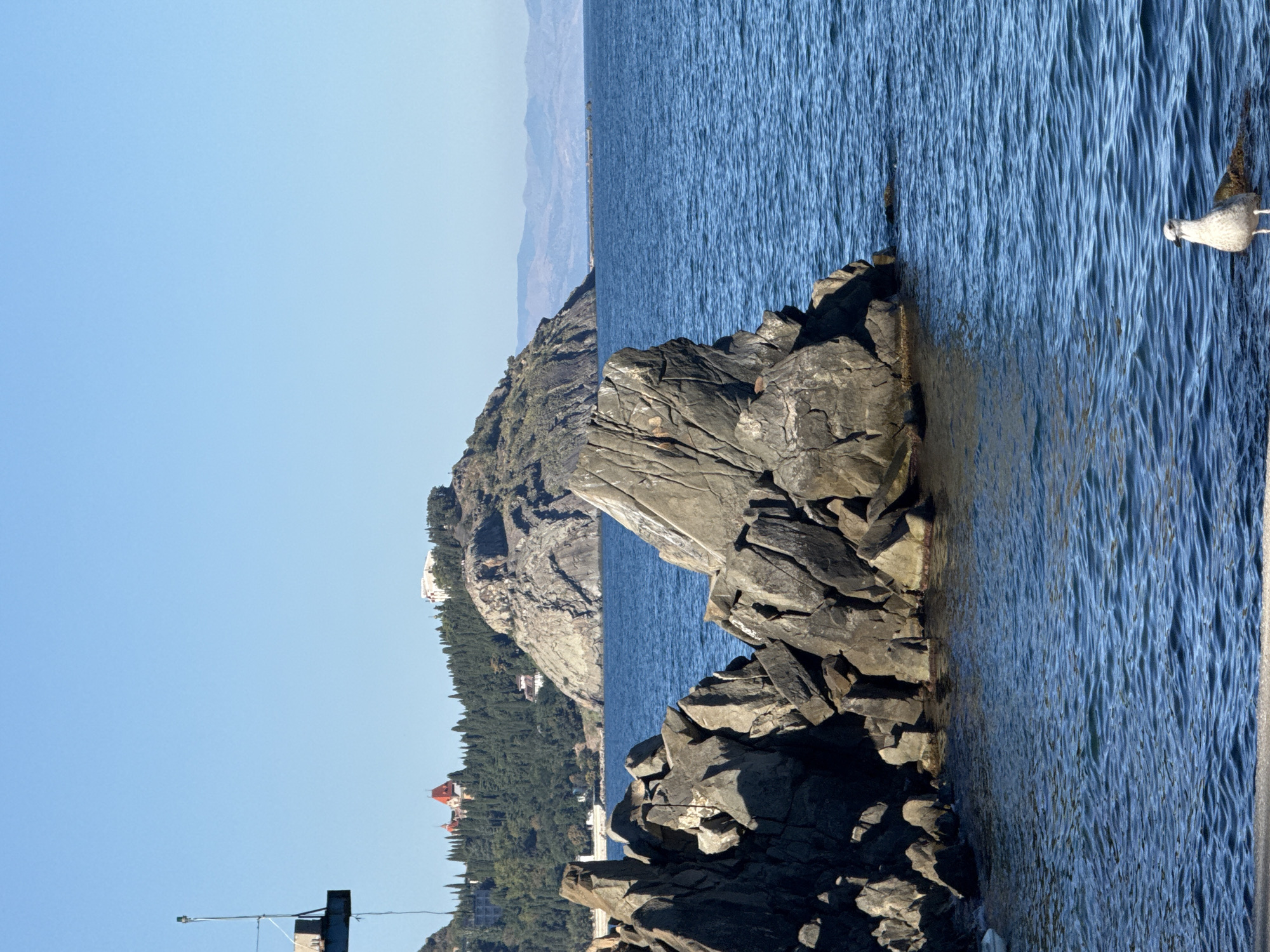 The image depicts a coastal scene in Partenit, Ukraine. In the foreground, large, dark, angular rocks are partially submerged in the bright blue, choppy sea. A single white seagull stands on a rock at the edge of the water, facing left. In the middle ground, more rocky outcrops break the surface of the sea. In the background, a lush green hillside is covered with numerous trees, and several buildings, including one with a distinct red-tiled roof, are visible nestled among the trees. Further in the distance, a larger, rocky mountain rises from the landscape. The sky is clear and a bright, pale blue. A tall, thin structure, possibly a crane or a lighthouse, stands on the left edge of the frame, reaching into the sky.
