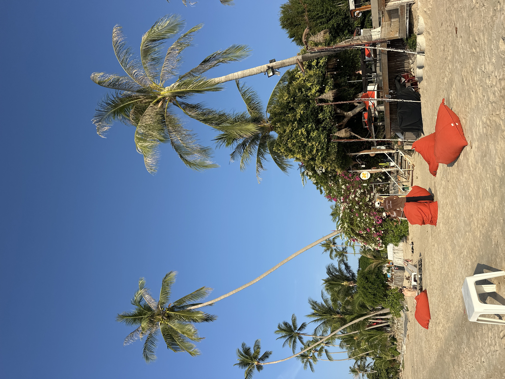 This image captures a beach scene in the Ko Samui District of Thailand, bathed in the clear blue sky of a sunny day. Several palm trees with lush green fronds are scattered across the sandy expanse, some leaning gracefully towards the ocean. In the foreground, several large, bright red beanbag chairs are placed on the sand, inviting relaxation. A white plastic stool stands to the left.
Further back, a few individuals are visible. One person sits on a lounge chair, another is seated on the sand near a beanbag, and two people stand near a beachside establishment. This establishment appears to be a bar or restaurant, with a raised wooden deck, tables, chairs, and hanging lights. Lush green trees and flowering bushes, with pink and white blooms, provide a vibrant backdrop to the structure. The sand is a light beige color, showing gentle ripples and footprints, indicating recent activity. The overall atmosphere is one of a tranquil and inviting tropical beach setting.