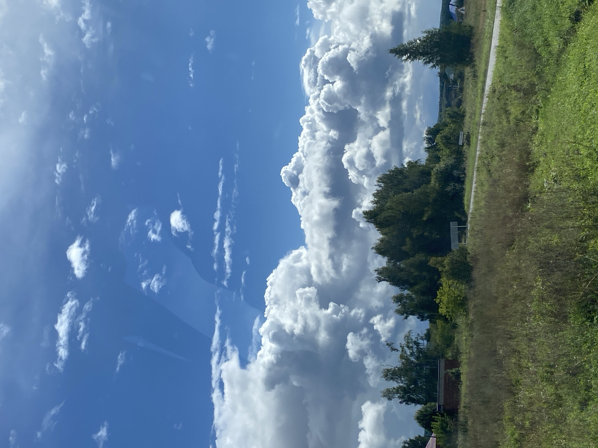 The image depicts a rural landscape under a partly cloudy sky. In the foreground, a field of dry grass and scattered wildflowers stretches across the scene. A paved road cuts through the middle ground, bordered by more vegetation and a line of trees to the left. Behind the trees, a small, weathered brick building is visible. Further into the distance, a cluster of trees stands prominently, with more scattered houses and structures appearing on the horizon, suggesting a village or settlement. The sky is dominated by large, fluffy white cumulus clouds against a bright blue backdrop. A faint, reflective sheen is present across the upper portion of the sky, possibly indicating a window or lens. The location is identified as Ustinovo, Russia. There are no people or overt actions depicted in the scene.
