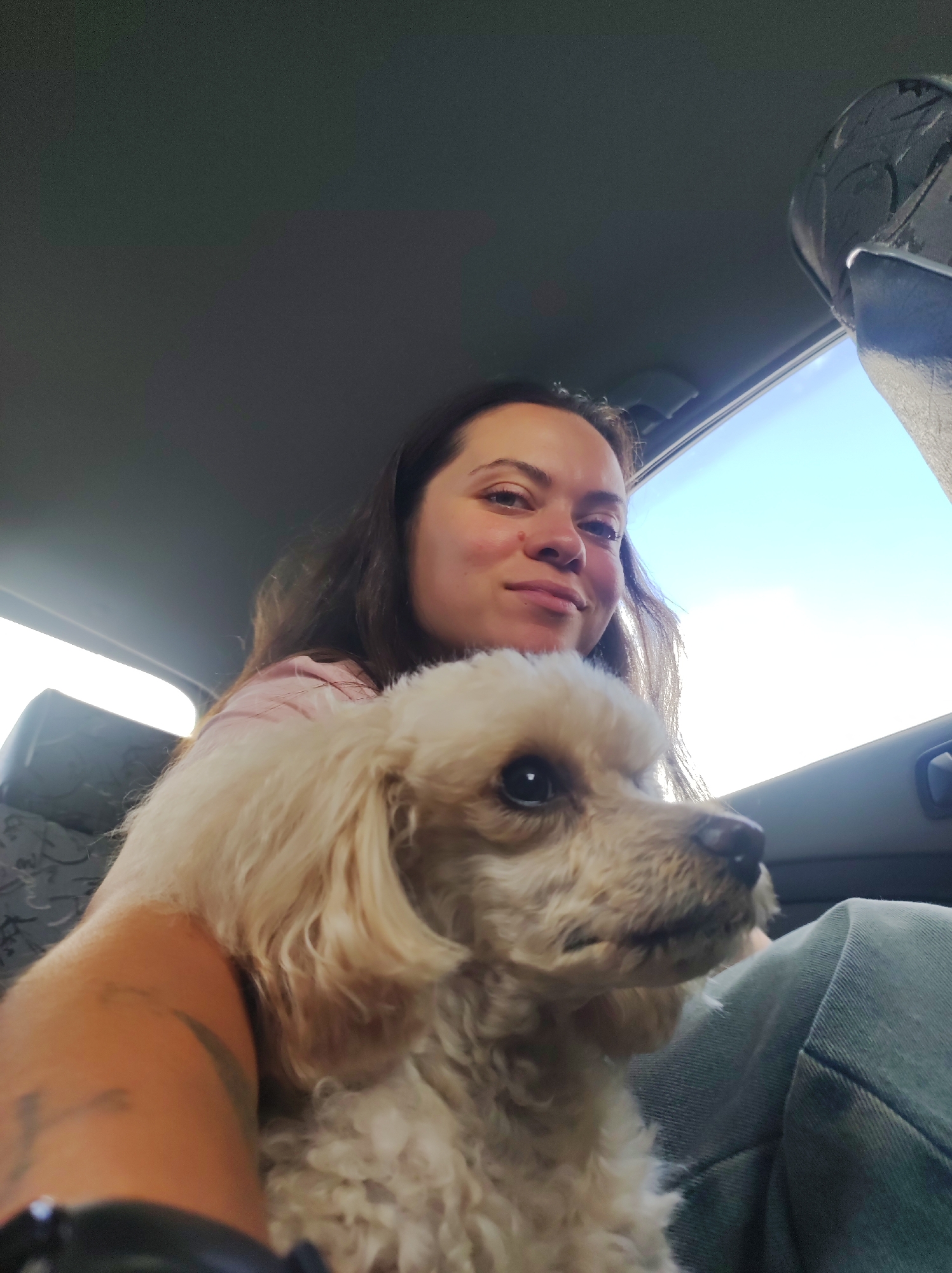 In a close-up selfie taken from inside a vehicle, a woman with long, dark brown hair is holding a small, light-colored dog. She is wearing a pink shirt, and the dog is light beige with curly fur. The woman is looking towards the camera with a slight smile, her face illuminated by natural light coming from the right side of the frame. The dog is positioned in front of her, with its head turned slightly to the right, and its dark eyes are visible. The background shows the interior of a car, including the ceiling and a window with a bright sky visible outside. Part of a gray car seat is also visible in the upper right corner. The lower portion of the image shows the woman's arm and shoulder, and the dog is resting on her lap, which is covered by green jeans. The scene appears to be captured during daylight hours. The location is the city of Chaikovsky, Russia.