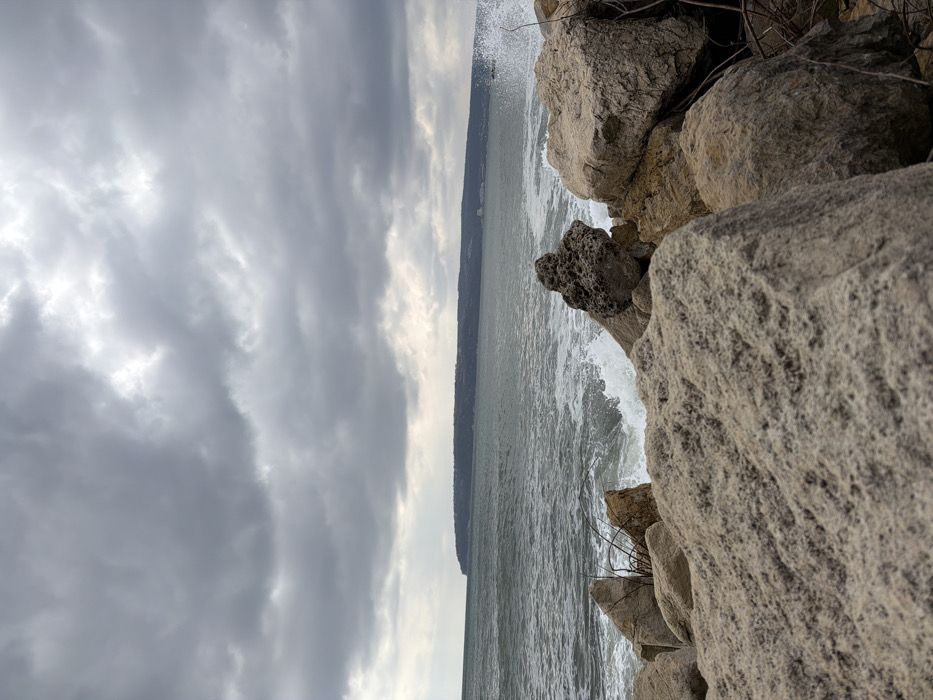 The image displays a coastal scene in Varna, Bulgaria, likely within Varna Bay, under an overcast sky. The foreground is dominated by large, irregular rocks of varying grey and light brown tones, forming a natural or artificial breakwater. Small, dark, dry vegetation or roots are visible among the rocks on the right side. Beyond these rocks, the dark, choppy waters of the Black Sea are in motion, with white-capped waves actively crashing against the rocky shore and spraying water upwards, particularly on the right. In the distant background, a long, elevated landmass, consistent with Cape Galata, stretches horizontally across the horizon, appearing densely forested and dark green against the lighter, cloudy sky. No individuals, vehicles, or prominent artificial structures are present within the immediate scene. The sky is completely covered with dense, grey clouds, indicating an overcast or inclement weather condition.