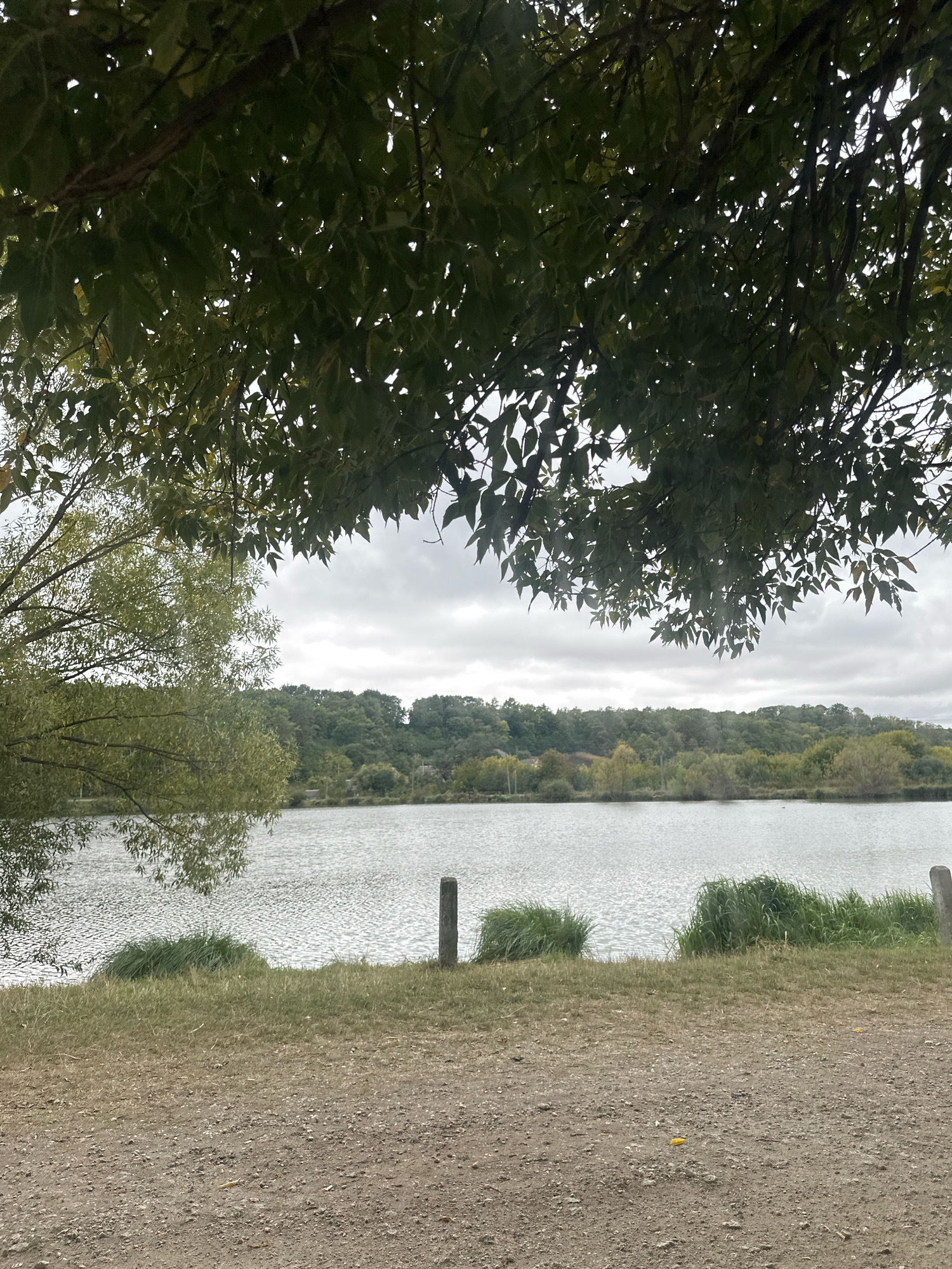 This image depicts a serene, natural landscape. In the foreground, there is a gravel and dirt path leading towards a body of water. The water, likely a lake or river, has a textured surface with small ripples, suggesting a slight breeze. Along the edge of the water, there are patches of green grass and some taller reeds. In the middle ground, a line of trees with lush green foliage forms a dense backdrop across the far bank of the water. The sky above is overcast with a uniform gray cloud cover. The overall scene appears to be a peaceful outdoor location, possibly a park or natural reserve within the city of Makiv, Ukraine. There are no people or animals visible in the frame.
