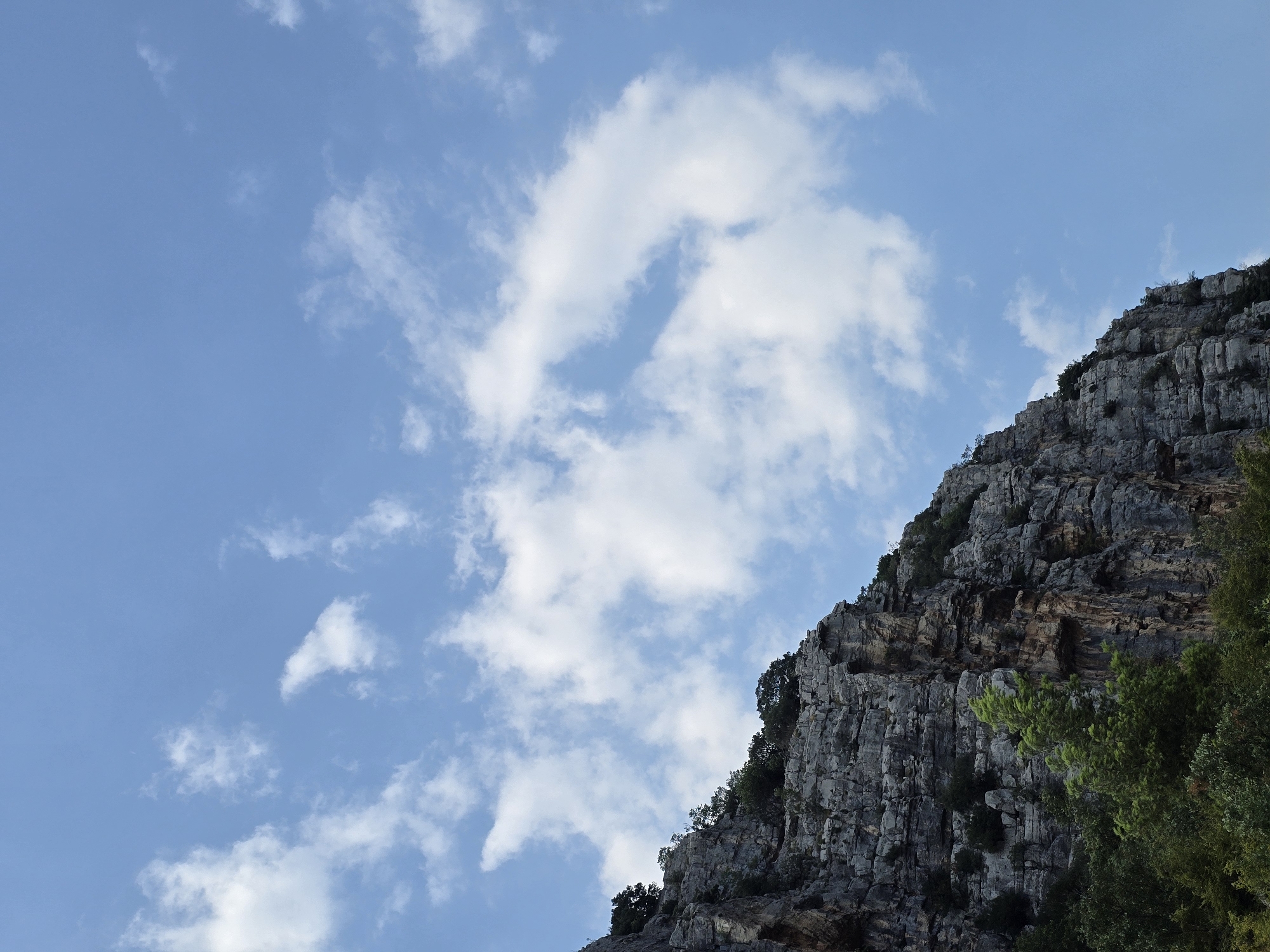 The image depicts a dramatic geological formation, a steep, rocky cliff face, rising from dense green foliage at its base. The rock strata are clearly visible, showing a rugged, textured surface with varying shades of gray and brown, indicating a natural, unweathered appearance. Sparse trees and dark green shrubs cling to the upper ledges of the cliff, defying the harsh environment. Above the cliff, a vast expanse of clear blue sky is dotted with fluffy white clouds, some of which are wispy and elongated, suggesting a gentle breeze. The lighting indicates it is daytime, likely late morning or early afternoon, given the brightness and the angle of shadows, if any were visible.
While the image itself does not directly depict Podgorica, Montenegro, the scene is characteristic of the mountainous and karst landscapes found in the immediate surroundings of the city, particularly to the north and east. Such dramatic cliff formations and dense vegetation are common in the Dinaric Alps, which loom over Podgorica. Specifically, areas like the Komovi mountain range or regions near Lake Skadar National Park, both accessible from Podgorica, feature similar geological and botanical characteristics. The image captures a natural, untouched environment, likely a part of Montenegro's extensive national parks or less developed mountainous terrain. There are no people or man-made structures visible in the frame.