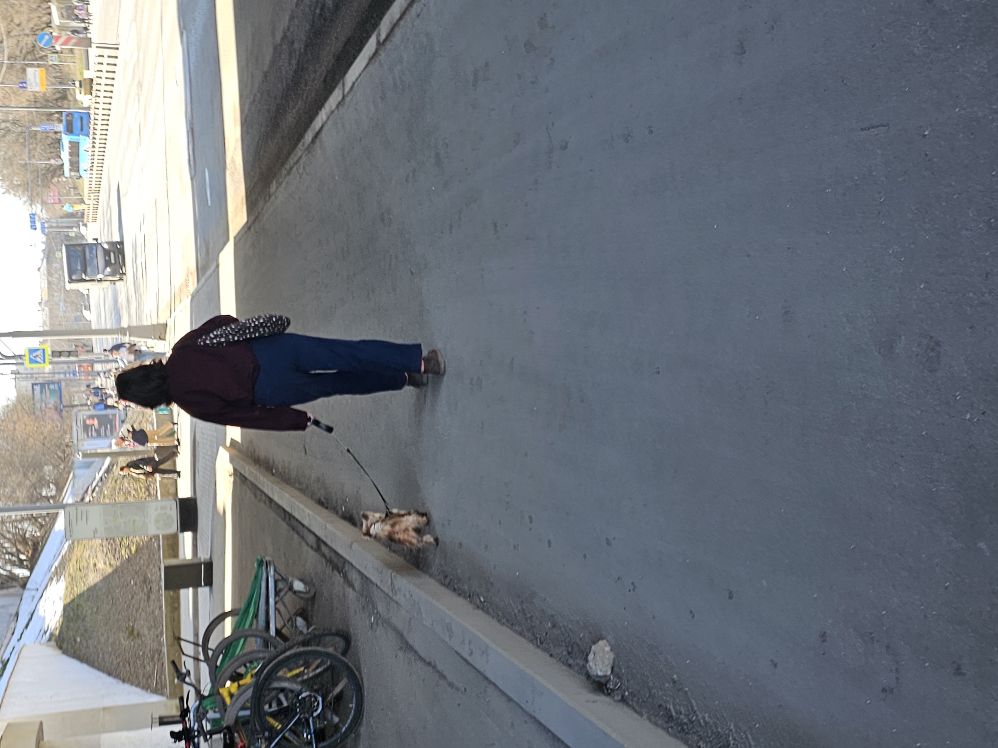 A woman is walking a ginger cat on a leash along a gray paved path next to a curb. The woman wears a maroon jacket, dark blue pants, and brown shoes, and carries a dark bag with white polka dots on her shoulder. A bicycle rack with several bicycles is nearby. The backdrop features a cityscape with buildings, trees, roads, and vehicles. The location is in Moscow, Russia.