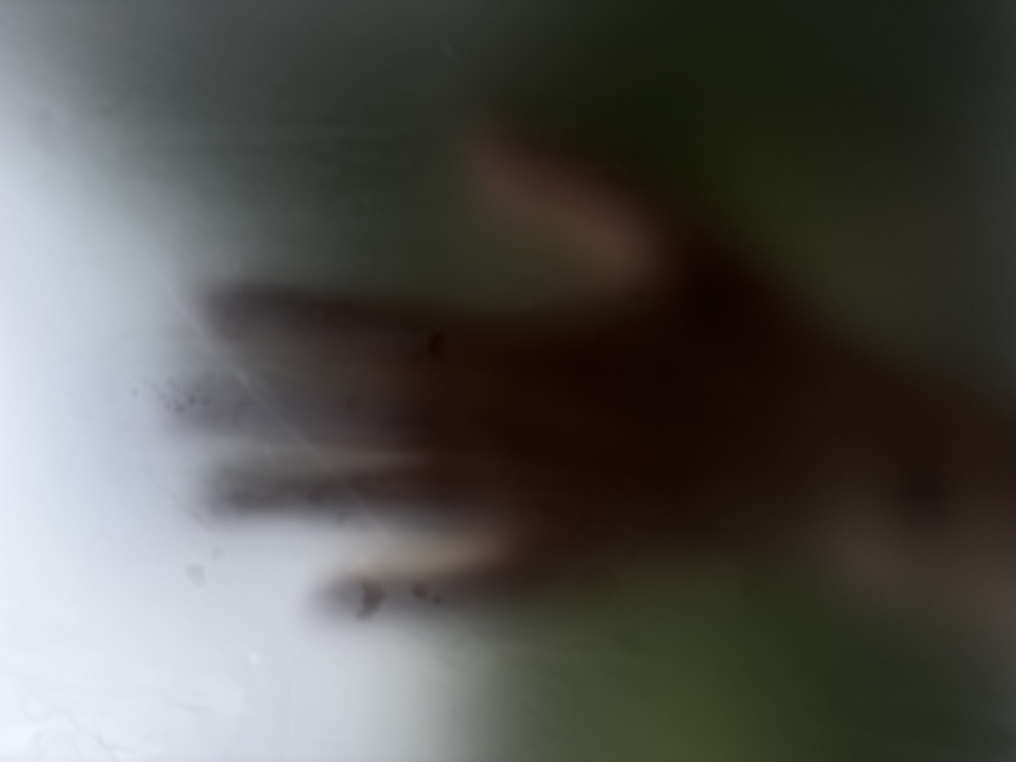 The image displays a person's hand pressed against a frosted or wet surface, obscuring the view of what lies beyond. The background is blurred, suggesting it could be outdoors with greenery visible, or indoors with a diffuse light source. The exact location in Saint Petersburg, Russia, cannot be determined from the visual information provided. The lighting is soft and diffused, contributing to the hazy and indistinct quality of the image.