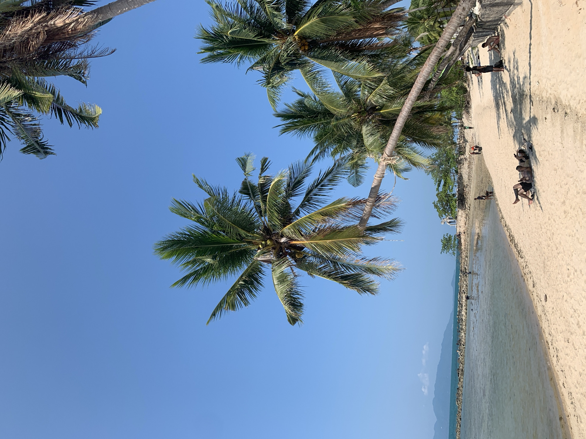 The image depicts a beach scene in Baan Tai, Thailand. Palm trees frame a view of the beach, sand, and clear blue sky. Several people are visible on the beach, some lying down, others walking or standing. The water is shallow and calm near the shore. In the distance, there is a faint outline of land.