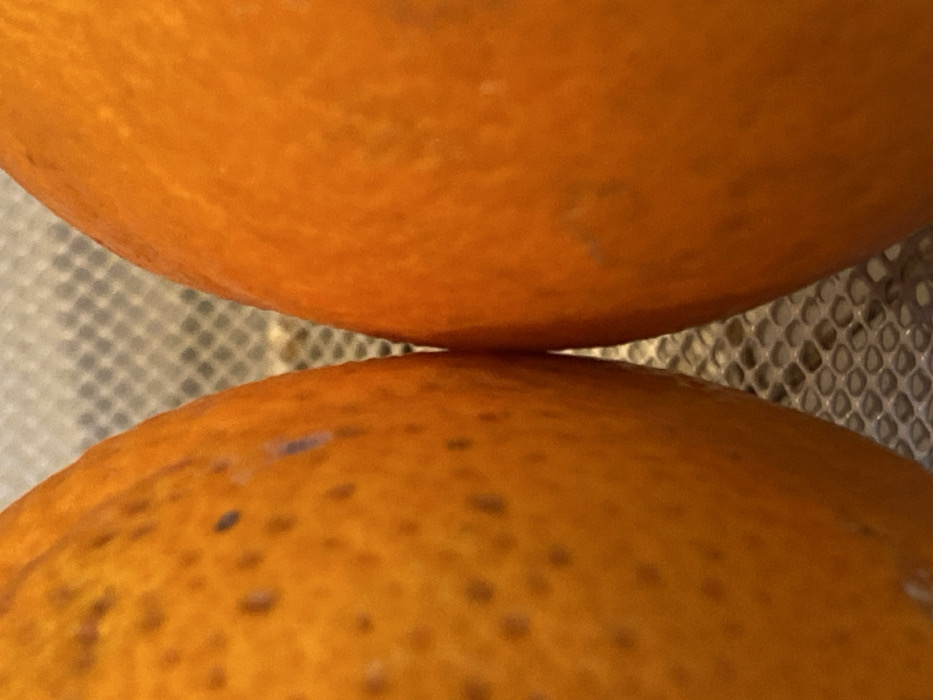 Two spherical, orange-colored citrus fruits are depicted in a close-up, static shot, positioned vertically and side-by-side, their rinds nearly touching in the center of the frame. The left fruit displays a textured skin with numerous small dark spots and faint purplish-grey markings. The right fruit exhibits a similar textured, orange rind. Both fruits are situated in front of a blurred background featuring a light-colored, metallic grate or mesh with a regular pattern of small rectangular or oval openings. The scene is located in Bonnieux, France. No individuals are present.