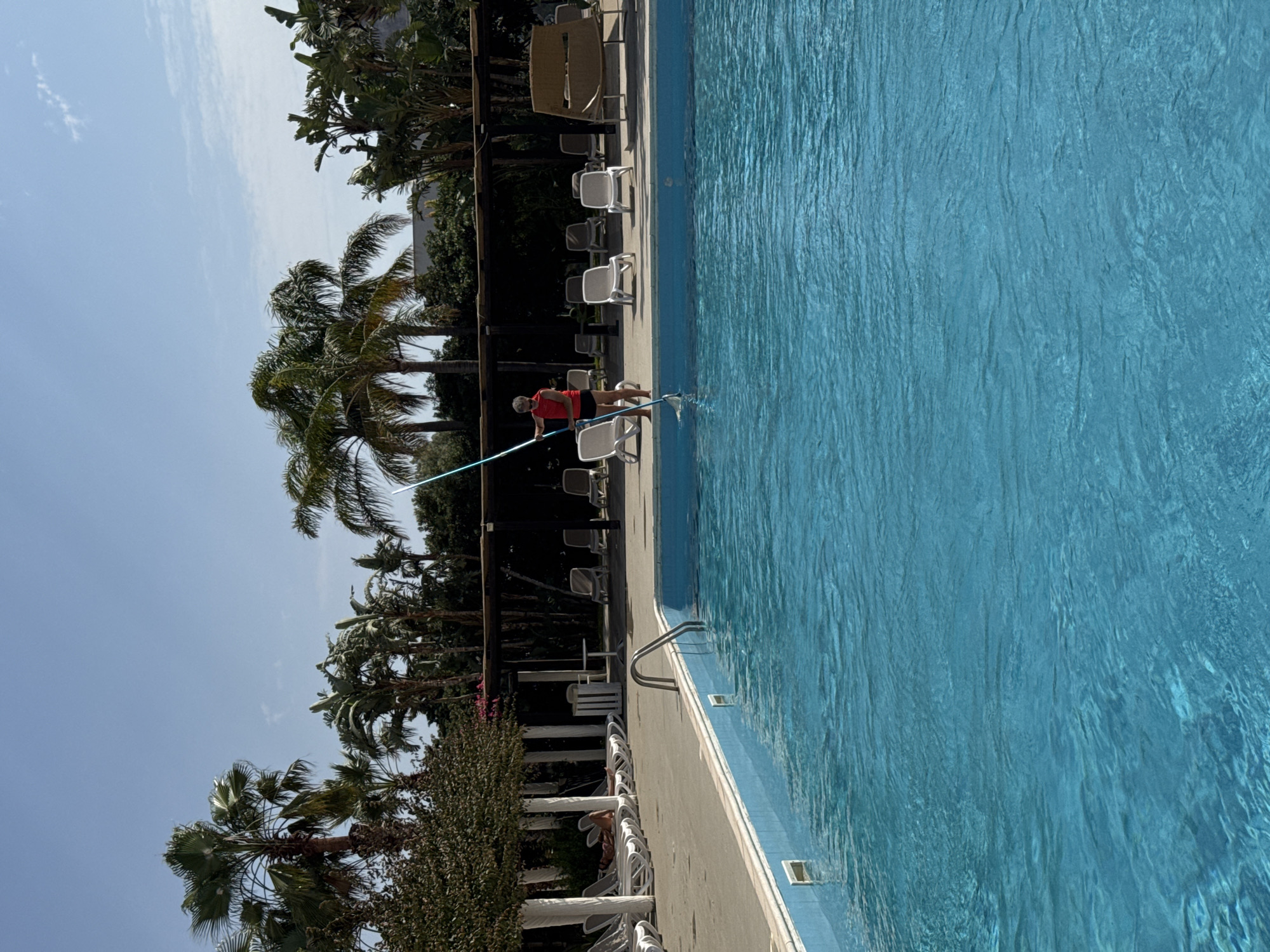 This vertically oriented image captures a bright, sunny daytime scene at an outdoor swimming pool, likely located in Isola delle Femmine, Italy, as suggested by the lush, warm-weather vegetation. The dominant feature is a large, rectangular swimming pool filled with clear, turquoise-blue water, showing subtle ripples and reflections on its surface.
In the mid-ground, a woman, dressed in a red top and dark shorts, is actively engaged in cleaning the pool. She holds a long pole with a cleaning attachment (possibly a net or brush) and is extending it into the water, performing routine maintenance.
The pool is surrounded by a light-colored concrete deck where numerous lounge chairs are arranged. Most of these chairs are white, with a few beige ones further back, indicating a leisure or resort setting. A metal ladder provides access into the pool from the right side of the frame. In the background and along the edges of the pool area, a variety of green foliage, including tall palm trees and dense bushes, thrives under the clear blue sky, which has only a few faint clouds. The bright sunlight casts soft shadows, confirming the time of day. No visible text is present in the image.