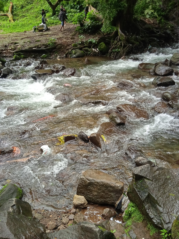 The image shows a river flowing over rocks in a lush green environment in Tawangmangu, Indonesia (latitude: -7.655, longitude: 111.135). The water is flowing rapidly, creating whitewater and foam. The riverbed is composed of large, brown rocks covered in moss. The riverbank is covered in lush green foliage. A large tree with thick roots is visible on the opposite bank. Two figures are walking on the bank in the background. The river flows from the top of the frame towards the bottom. There is a lot of green vegetation near the edge of the river. The image was likely taken on a sunny day.