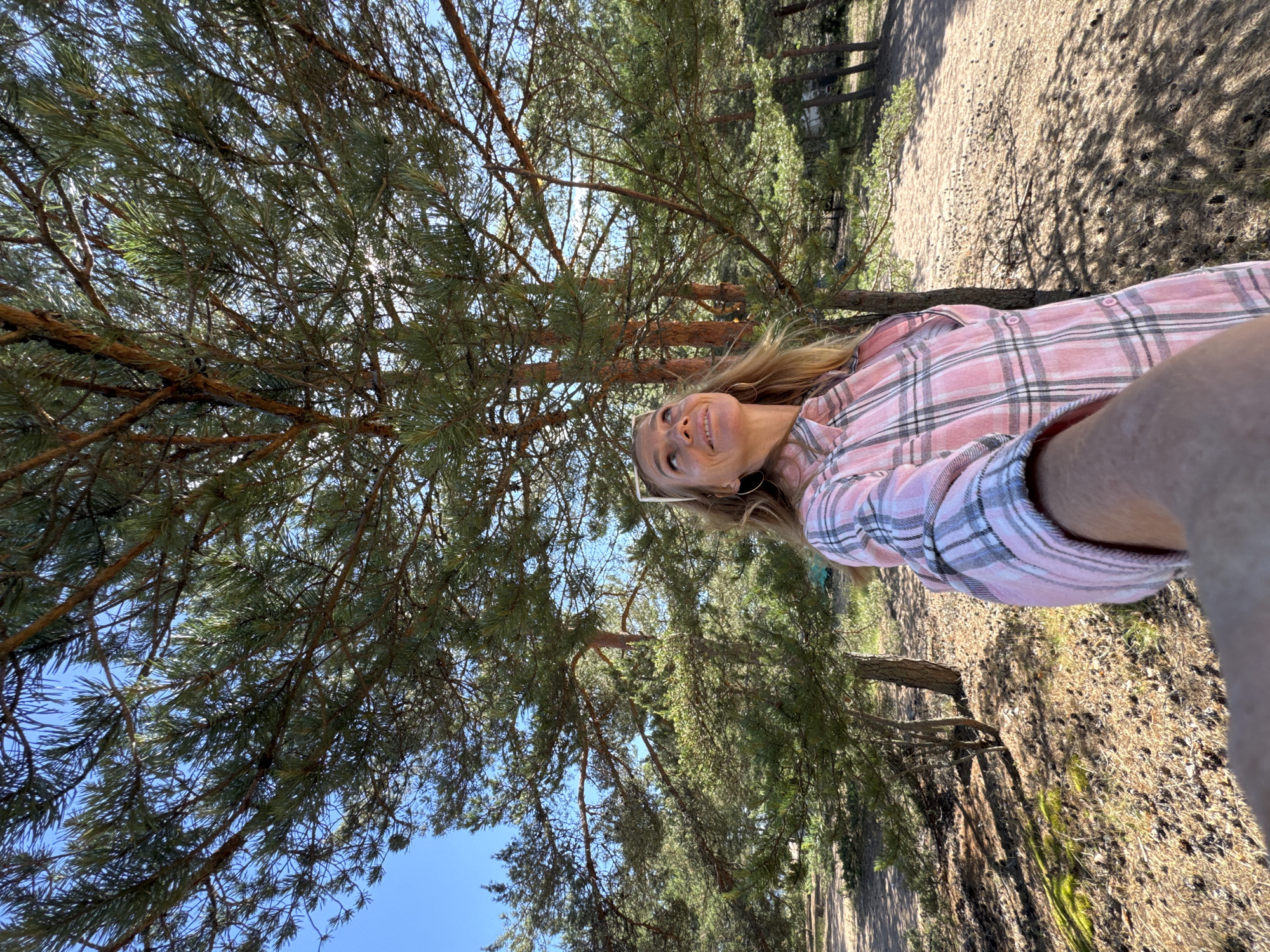 A woman with blonde hair, wearing a pink and white plaid shirt and white-rimmed glasses, smiles up at the camera in a selfie. She is outdoors, likely in a wooded area, as indicated by the pine trees and needles that fill the foreground and background. The sun is shining brightly, casting dappled shadows on the dry, needle-strewn ground. The sky is a clear blue. The image is taken from a low angle, looking up through the branches of a large pine tree. The woman appears happy and relaxed, enjoying the natural setting. The location context suggests this may be Zelenaya Roshcha, Russia. No text is visible in the image.