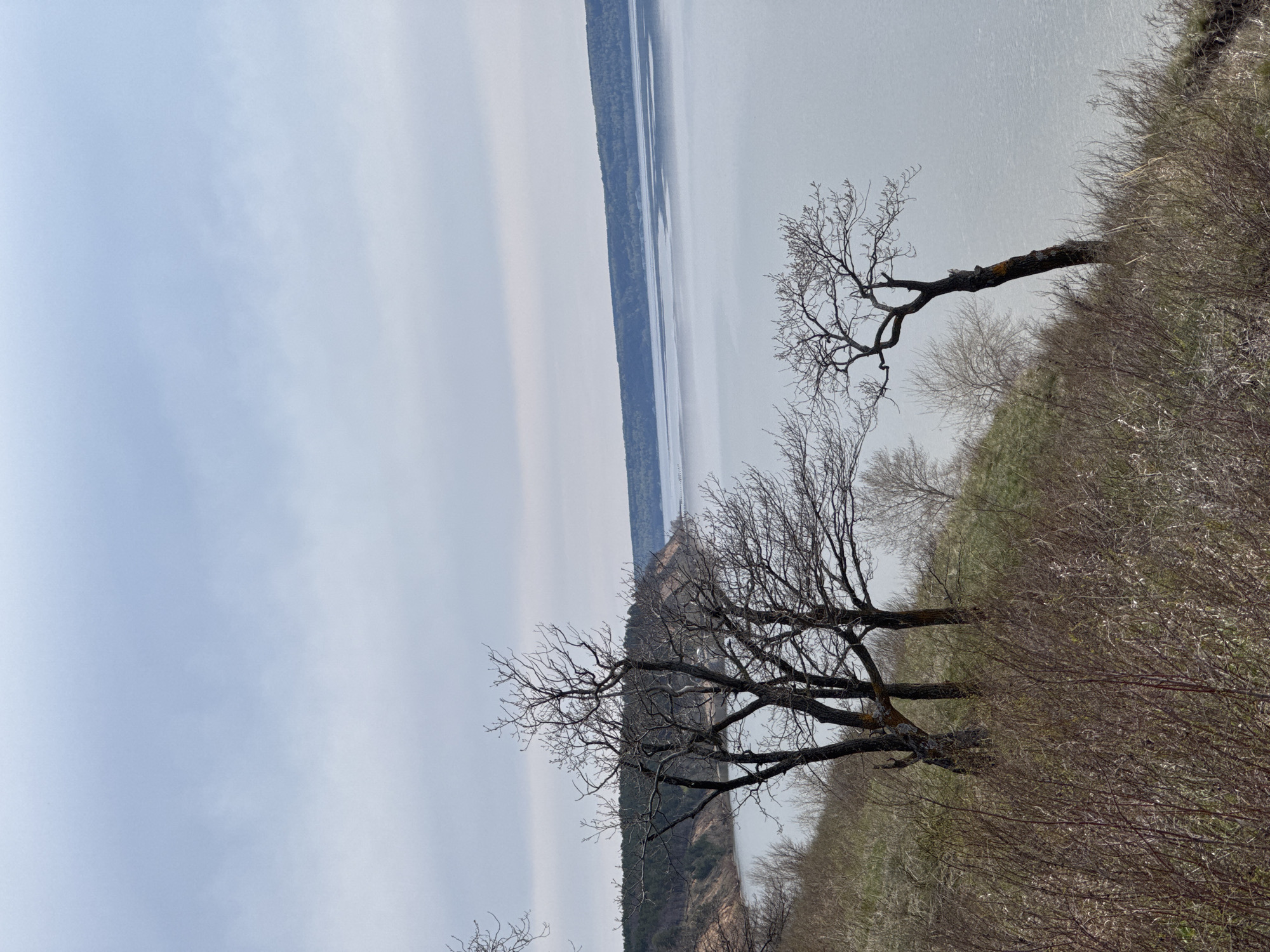 The image presents a landscape dominated by a large body of water, likely a lake or bay, under an overcast sky. A strip of land runs parallel to the water, topped by a dense forest. Closer to the viewer, the foreground features a hillside covered in brown vegetation and leafless trees with intricate branch patterns. The location is undetermined and listed as Unknown, Unknown. No people are visible in the scene.