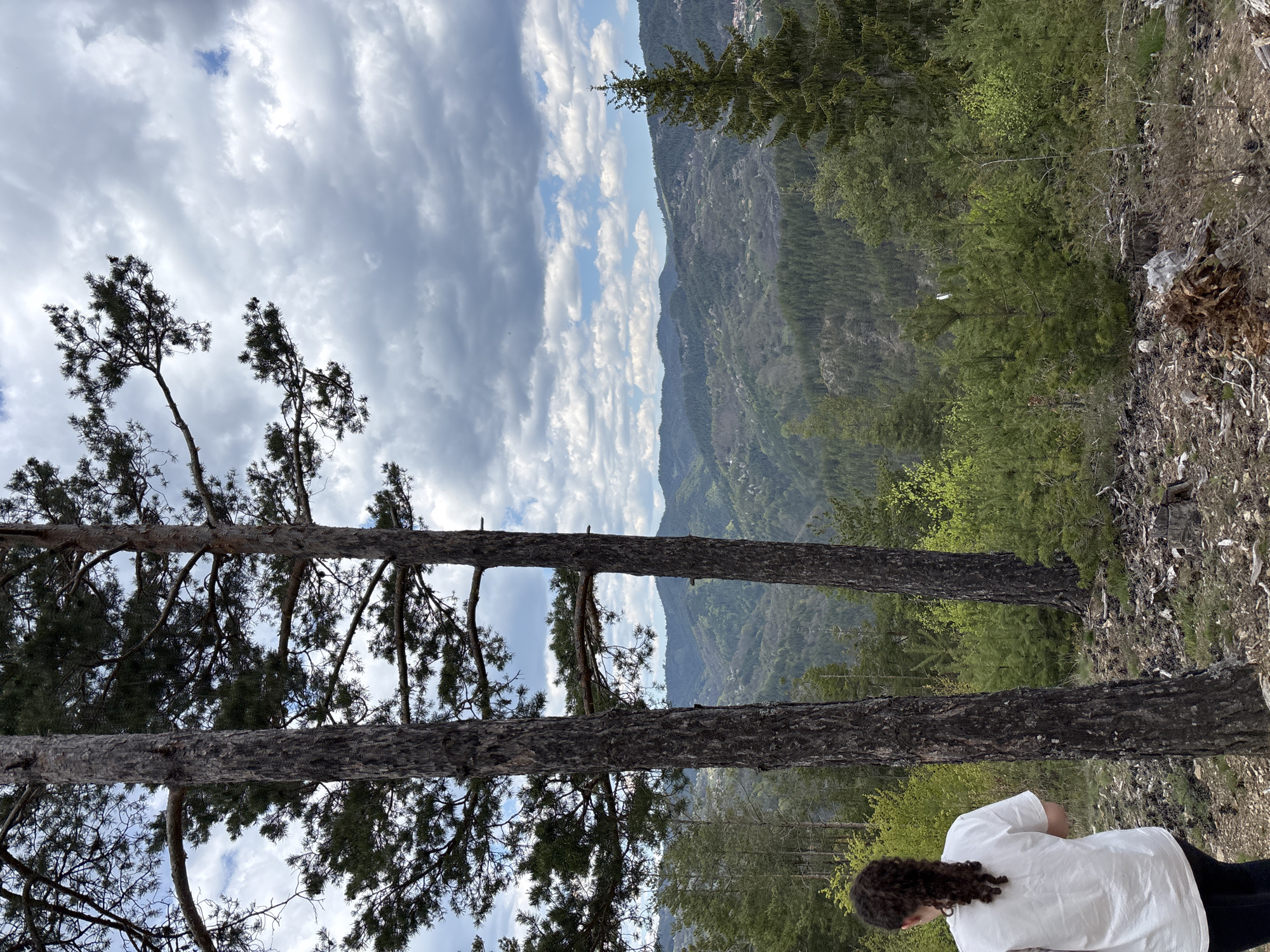 The photograph is taken outdoors, looking down a wooded, mountainous landscape in the city of Gradat, Bulgaria. Two tall, thin pine trees with sparse branches extend from the bottom edge to the middle ground of the image, framing the view. Behind the trees, rolling hills covered in dense forest stretch towards the horizon. The sky is partly cloudy, with a mix of blue sky and large, puffy white clouds. A person wearing a white shirt is partially visible in the lower right corner. They are viewed from the back. The ground near the person is covered in dry leaves, twigs, and rocks.
