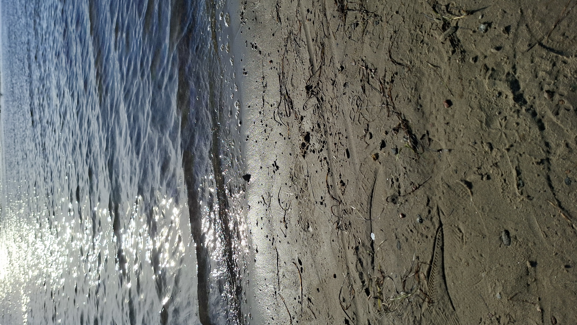 A close-up, low-angle shot captures the edge of a body of water and a sandy shore. The water occupies the top half of the frame, with sunlight reflecting off its surface in numerous bright, shimmering patches. Gentle ripples disturb the water, creating a textured appearance. The shoreline is composed of fine, damp sand littered with small pebbles, dried plant debris, and a few scattered shells. Footprints are visible in the sand, suggesting recent human activity. The scene is devoid of any identifiable landmarks or structures, making it impossible to determine its specific location within Tallinn, Estonia.