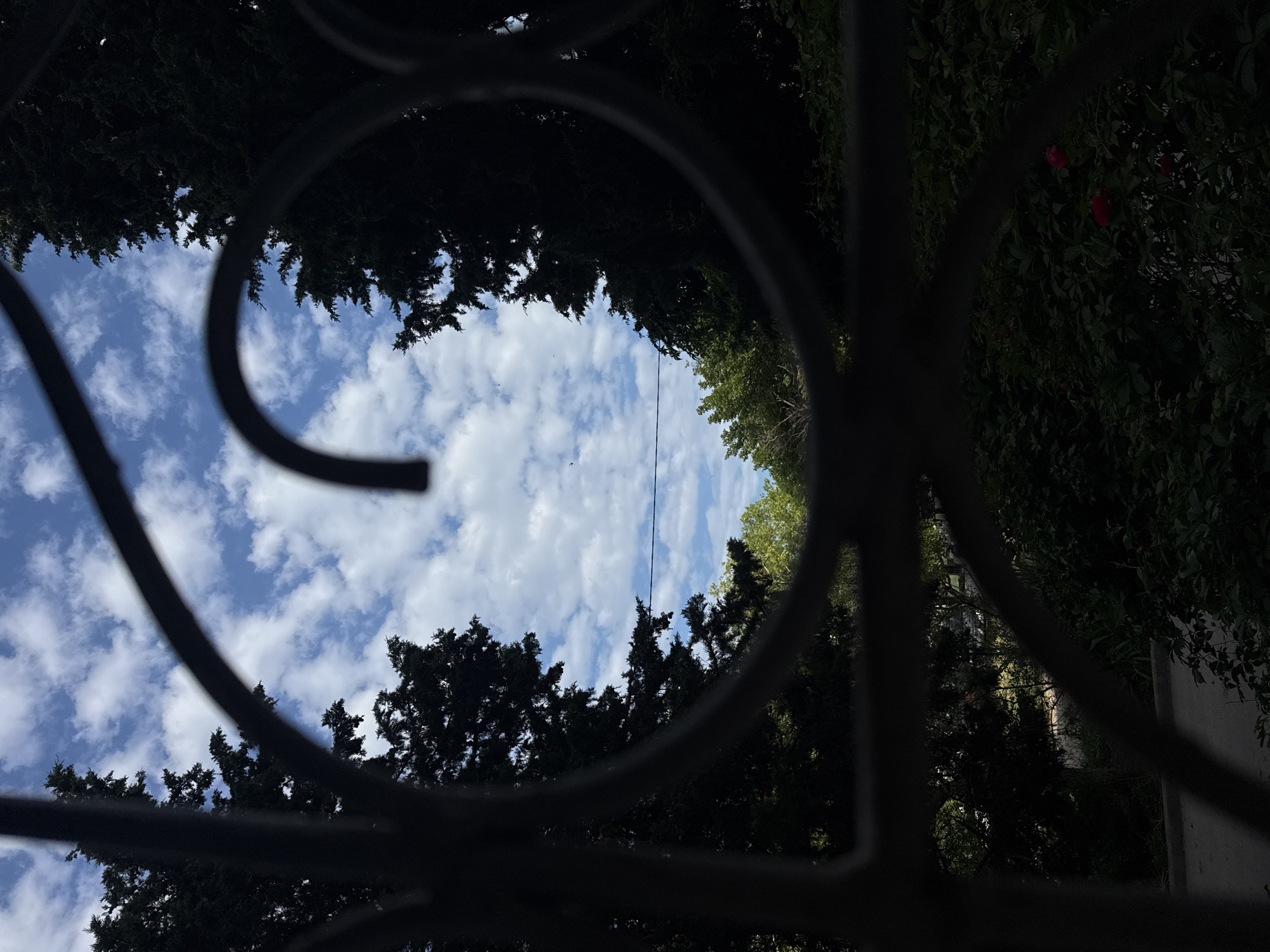 The image shows a view through a dark, ornate metal railing, framing a partly cloudy blue sky. Tall, dark green trees flank the left and right sides of the frame, their dense foliage silhouetted against the sky. The railing has a decorative heart shape in the center. Below the sky, further trees with lighter green foliage are visible, and a thin, dark horizontal line, possibly a wire, stretches across the middle ground. In the lower part of the image, more dense greenery and some red flowers are visible, obscured by the railing and shadow. The scene appears to be outdoors, possibly in a park or garden setting.
