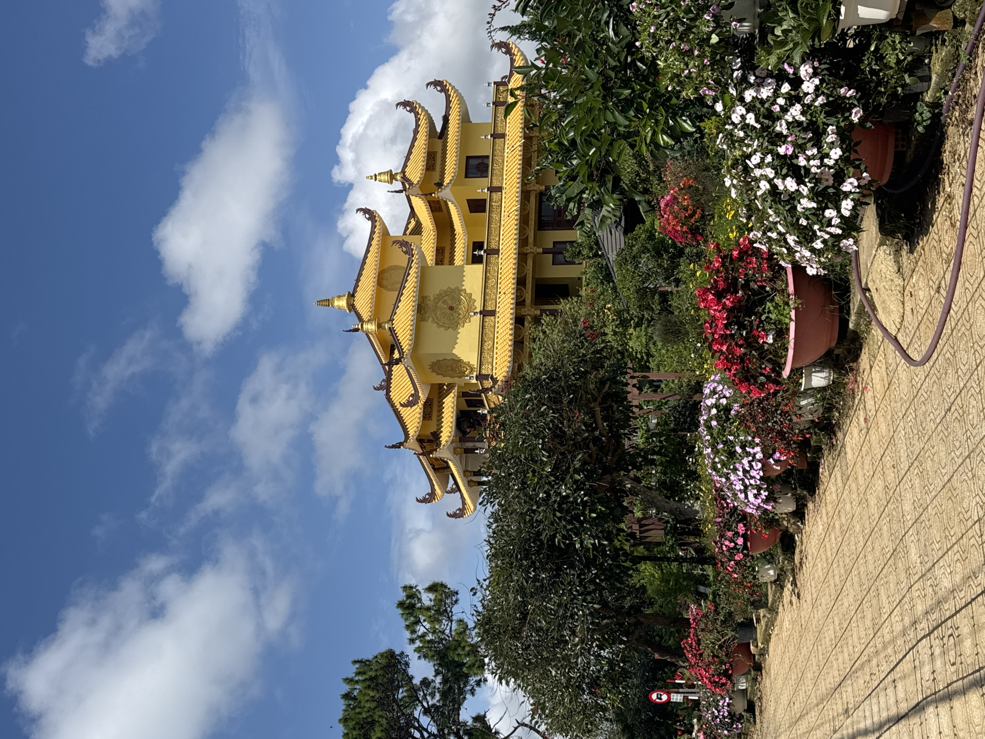 This image captures a view of the Truc Lam Zen Monastery in Da Lat, Vietnam. The monastery's striking yellow architecture, with its ornate, multi-tiered roofs and golden spires, is prominently featured against a bright blue sky dotted with fluffy white clouds. In the foreground, a paved pathway lined with an abundance of potted flowers, displaying a vibrant mix of red, pink, and white blossoms, leads the eye towards the monastery. Lush green trees and foliage surround the building, creating a serene and natural environment. A portion of a red and white circular sign with symbols is visible on the left side of the pathway. The overall scene conveys a sense of tranquility and beauty.