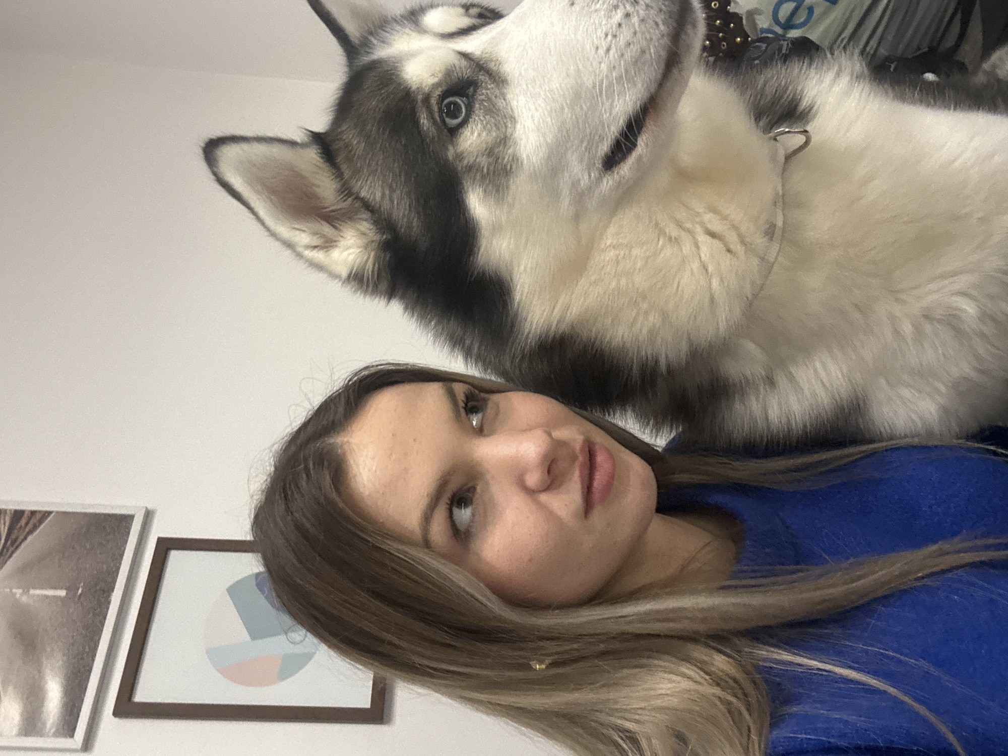 A woman with long, light brown hair and wearing a blue shirt is posing for a selfie with a large husky dog. The dog is predominantly white with black and grey markings on its head and ears. The dog is wearing a silver-colored collar. Behind the woman are two framed pictures hanging on a white wall. The images within the frames are indiscernible. The location is not discernible from the image. Thus, it is impossible to confirm if the photo was taken in Plovdiv, Bulgaria.