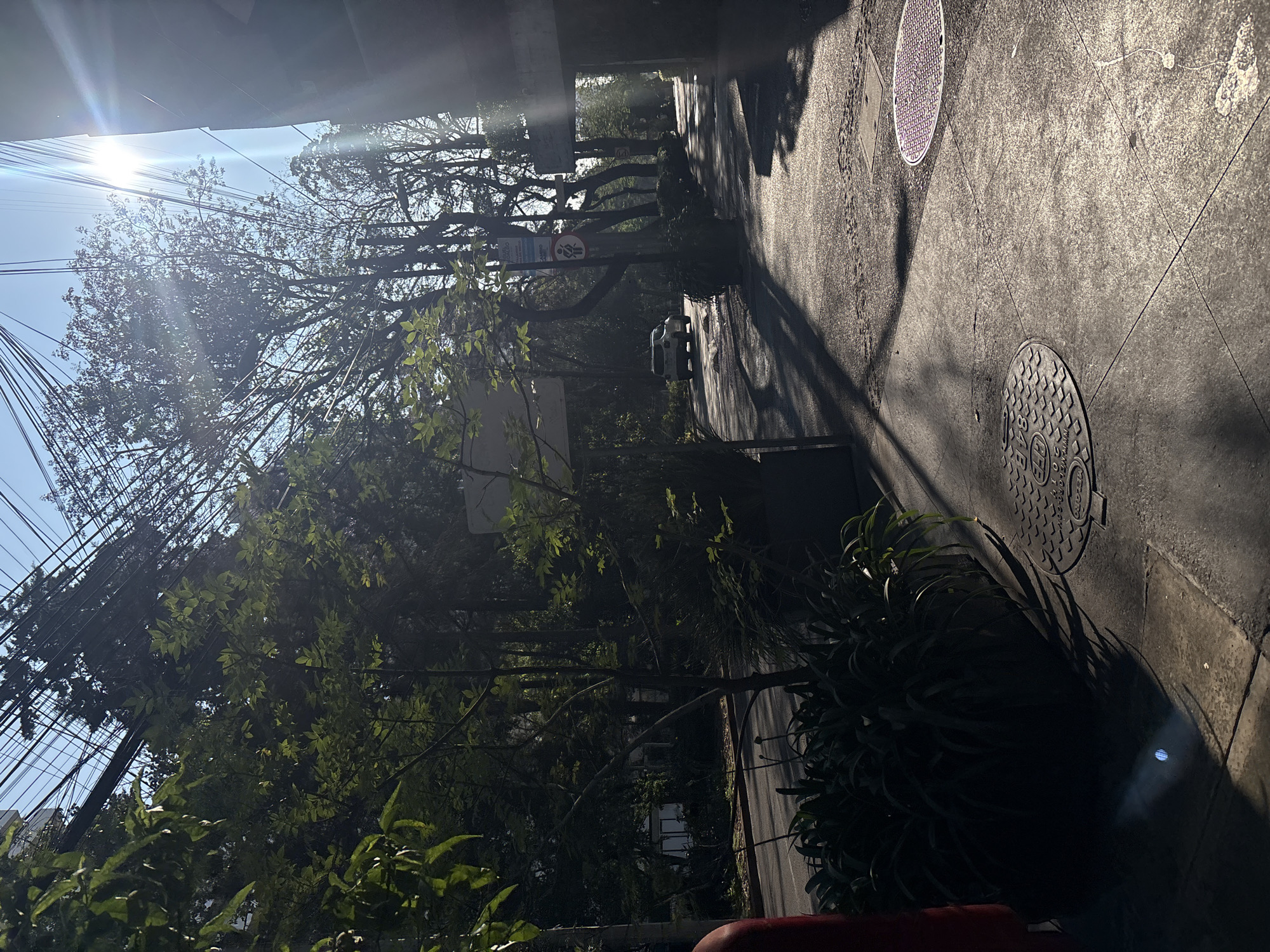 The image shows a street scene in Mexico City, Mexico. The view is oriented lengthwise along a sidewalk, which is covered in concrete and features circular manhole covers. The right side of the sidewalk is in shadow, while the left side is dappled with sunlight filtering through trees. Lush foliage lines the left side of the sidewalk, partially obscuring the view. Electrical wires crisscross overhead, visible against a bright, cloudless sky. A few parked cars are visible further down the street. The time of day appears to be morning or late afternoon, judging by the angle of the sunlight. There are no people visible in the image.