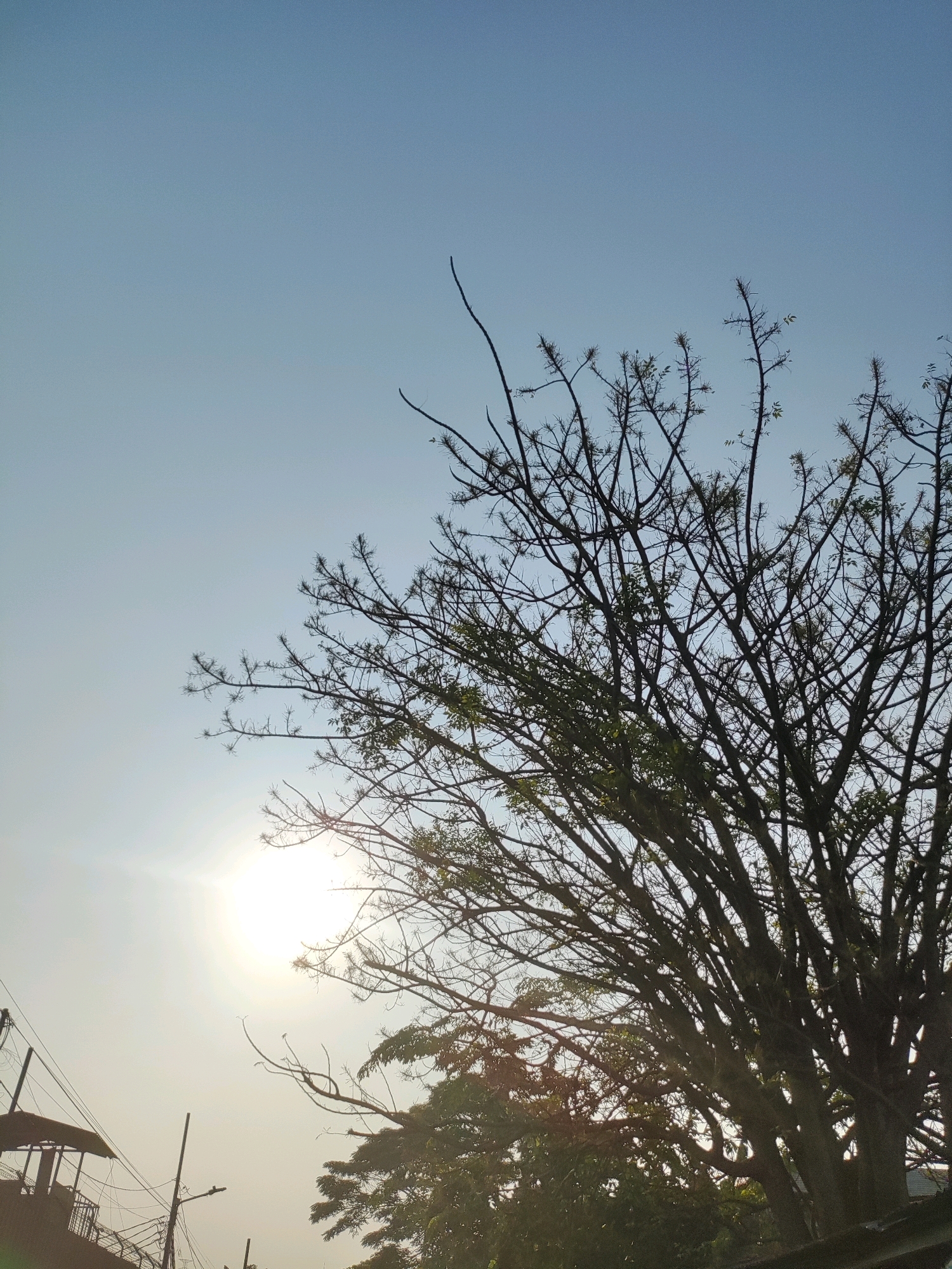 The image shows a bright sun peeking through the branches of a tree, casting a glow across a clear blue sky. In the lower left corner, a building with a slanted roof and some electrical wires are visible, suggesting an urban setting. The overall scene appears to be outdoors, possibly in a park or along a street in East Jakarta, Indonesia, given the context.
