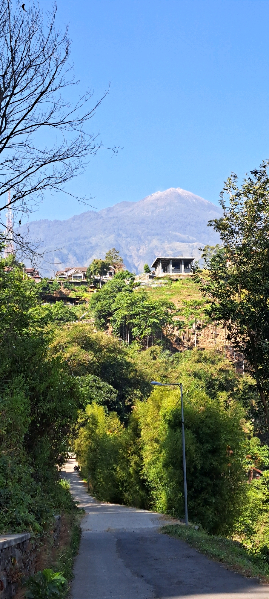 A vertical shot captures a sunlit mountainous landscape in Tretes, Indonesia. In the foreground, an asphalt road curves uphill, flanked by lush green foliage and bamboo groves. A lone street lamp stands to the right. Further up the slope, several buildings with white walls and dark roofs are nestled among trees. In the distance, a majestic, hazy mountain dominates the horizon under a clear blue sky.