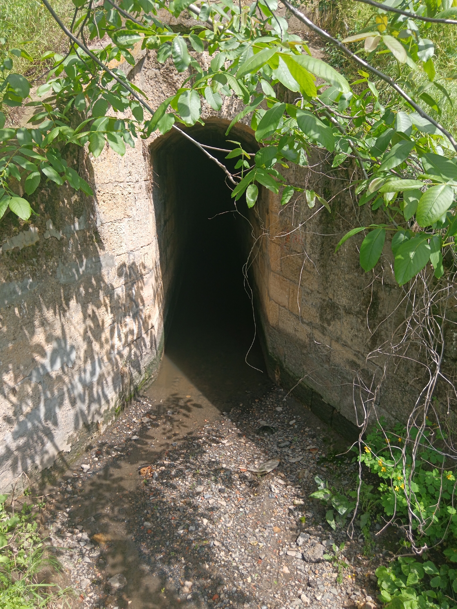 A stone tunnel entrance, partially obscured by foliage, leads into darkness. The entrance is bordered by textured, light-colored stone walls, with shadows cast by leaves on the left wall. Water pools on the ground at the tunnel's entrance. The ground is covered in gravel and small stones, and there are patches of greenery at the base of the walls. The location is Rostov-on-Don, Russia.