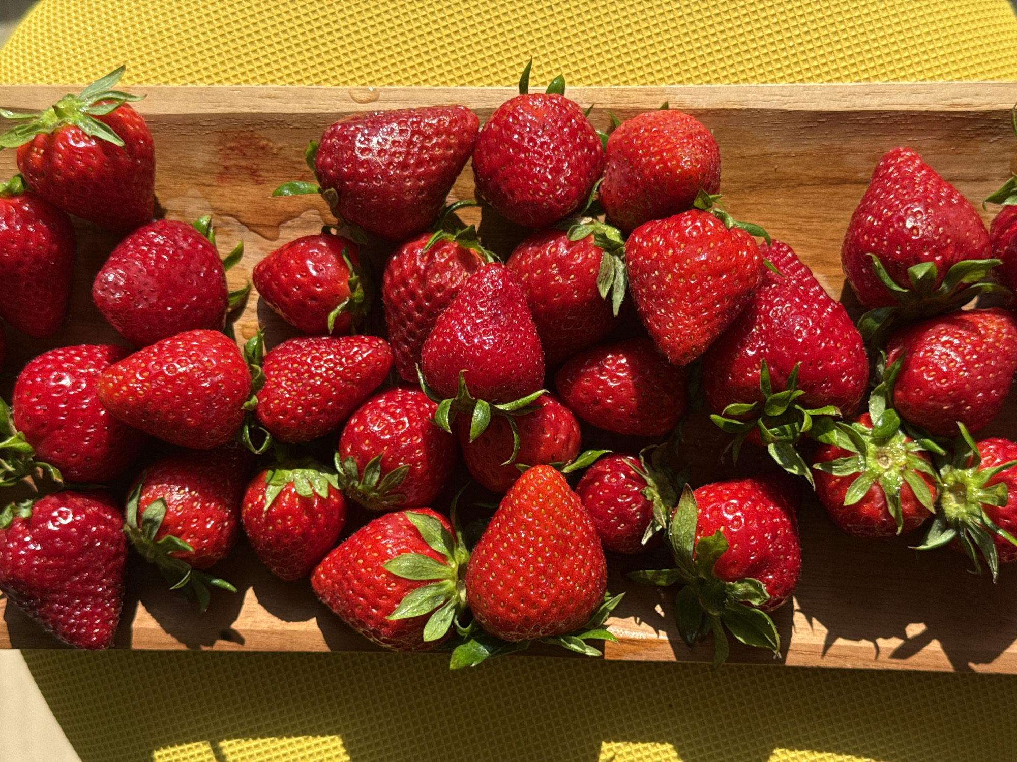 The image presents a close-up, overhead view of numerous fresh, vibrant red strawberries artfully arranged on a rustic wooden tray. Many of the ripe berries still retain their green caps and show small water droplets, suggesting they have been recently washed. They are densely packed, filling the natural-grained wooden tray and creating a rich, textural display.
The wooden tray itself shows some moisture marks and is placed on a bright yellow, textured surface, likely a tablecloth or mat, characterized by a waffle-like pattern. Strong, direct sunlight illuminates the scene, casting distinct, elongated shadows from the strawberries and the edge of the tray onto both the wooden surface and the yellow background. These pronounced shadows indicate a sunny day, with the light source likely positioned to one side.
The overall impression is one of freshness, natural beauty, and a bountiful harvest. There are no people visible in the image, nor is there any discernible text. This scene is set in Vozdovac Urban Municipality, Serbia.