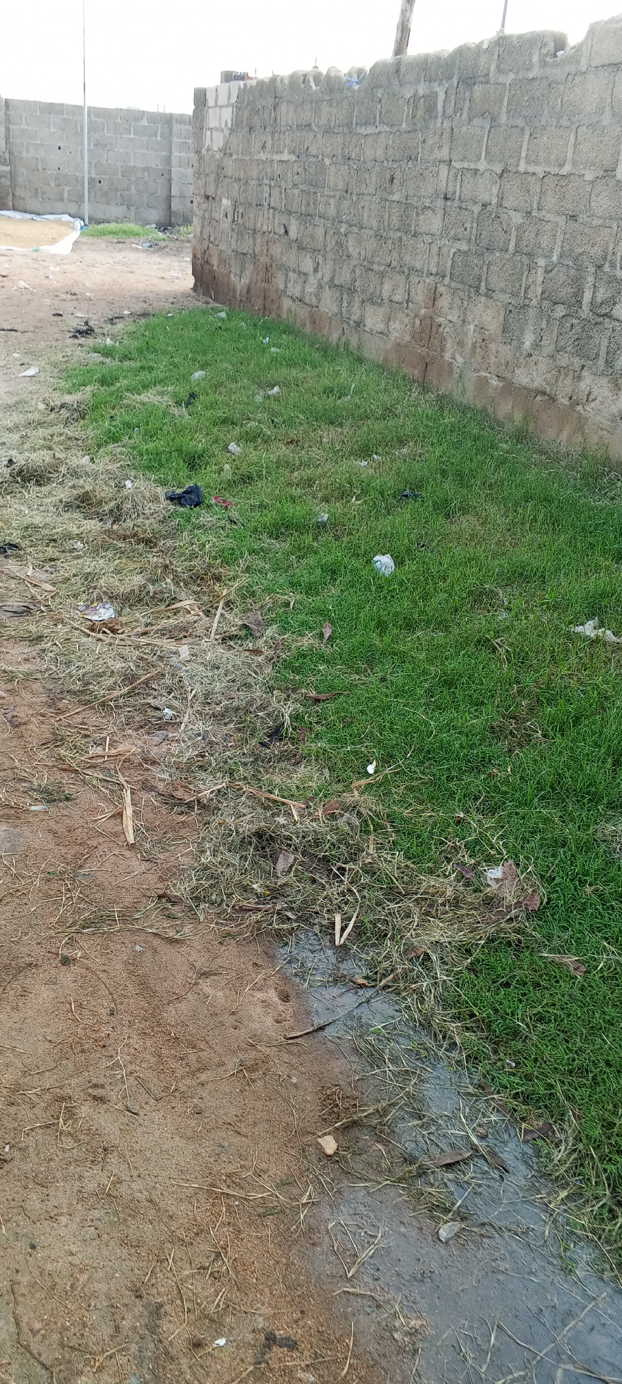 The image depicts an outdoor scene in Jalingo, Nigeria, characterized by a dirt path bordering a wall constructed from grey cinder blocks. A strip of green grass runs alongside the wall, with some areas appearing dry and sparse. Scattered across both the path and the grass are various pieces of litter, including plastic bags, crumpled paper, and other debris. In the background, a section of a similar cinder block wall is visible, extending into the distance. The overall environment suggests an undeveloped or neglected urban area. There are no people or animals present in the image.