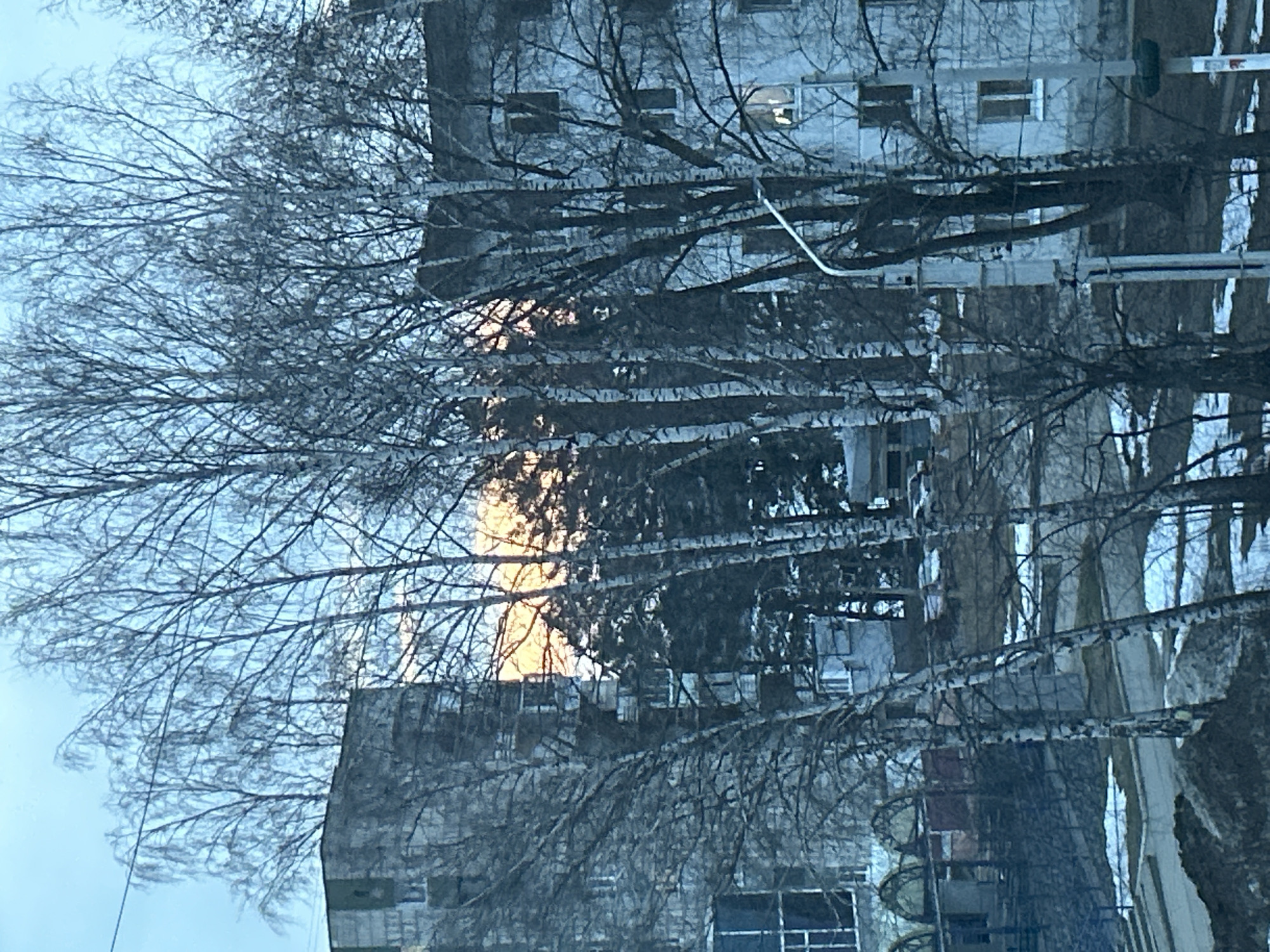 The image depicts a building in Chaikovsky, Russia, partially obscured by bare trees in winter. The building has multiple windows, and the sky is pale blue. The trees are in the foreground and their branches are bare. There's a light pole visible.